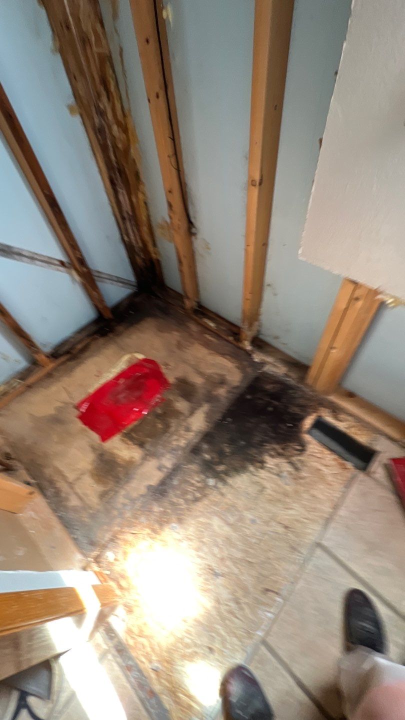 Water Damage and Mold Remediation by Accountable Home Services