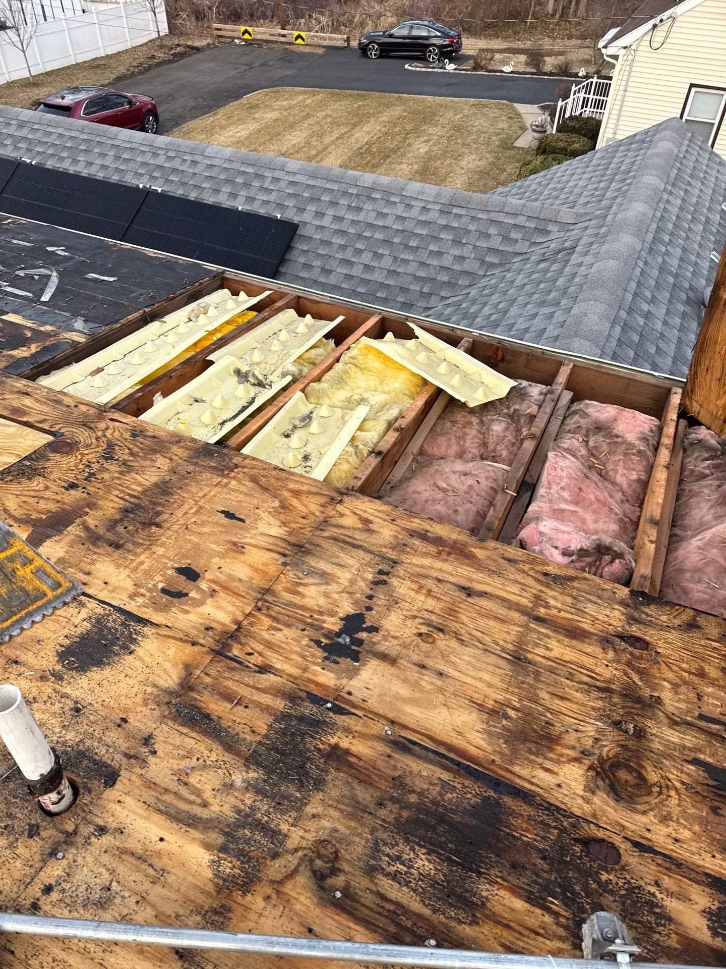 Silver Birch Shingles by Reimagine Roofing