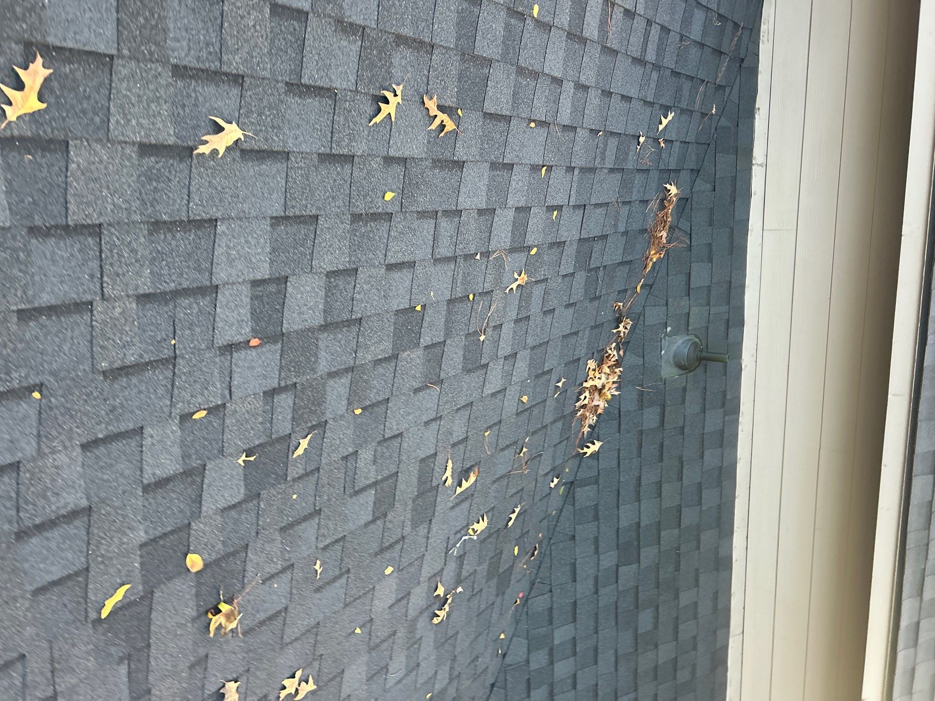 Roof Repair Houston by Roof Repair Company