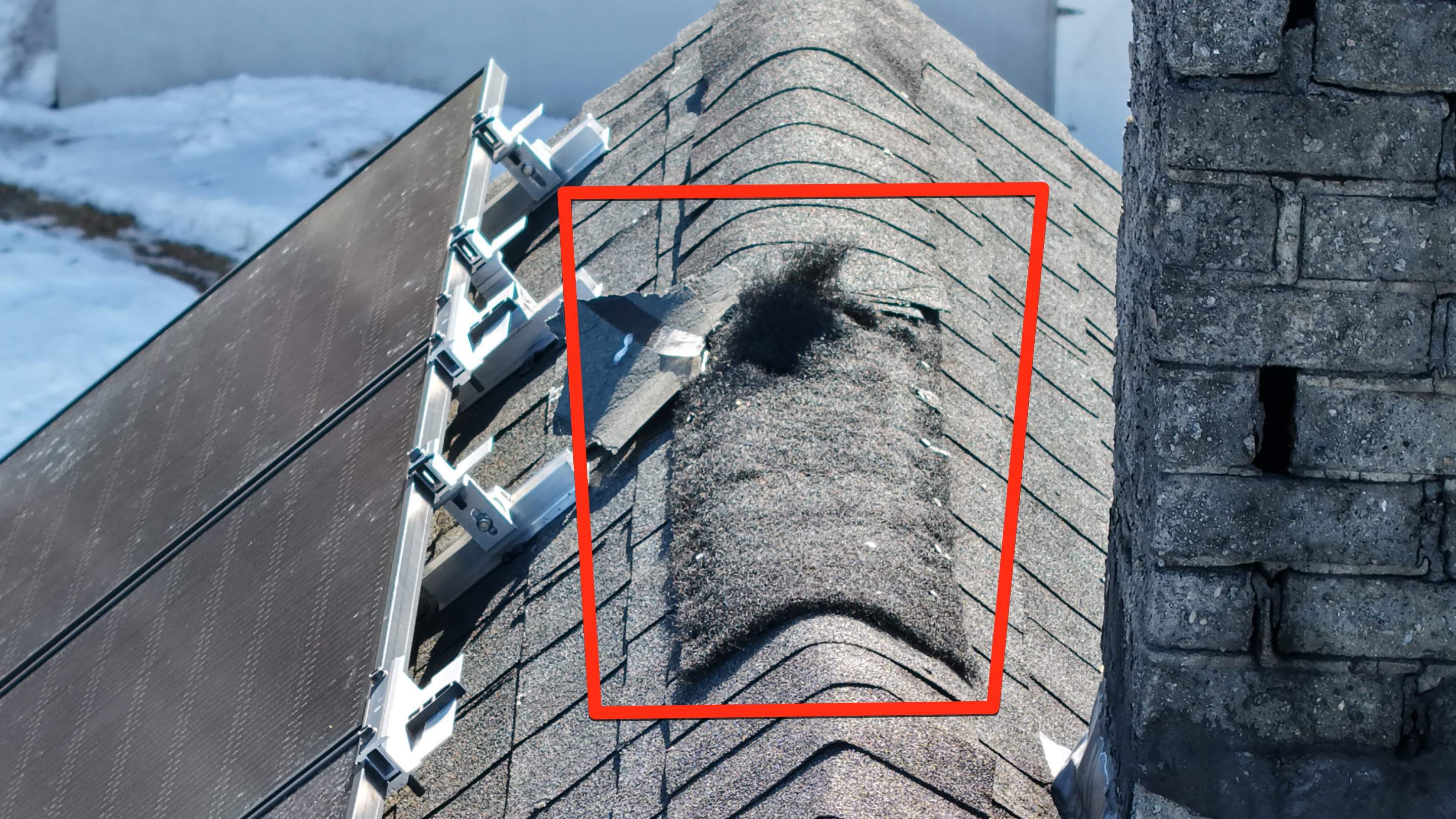 Critter Damage Repair: Ridge Vent Upgrade & Mansard Shingle Restoration by JOHNNYS PRO
