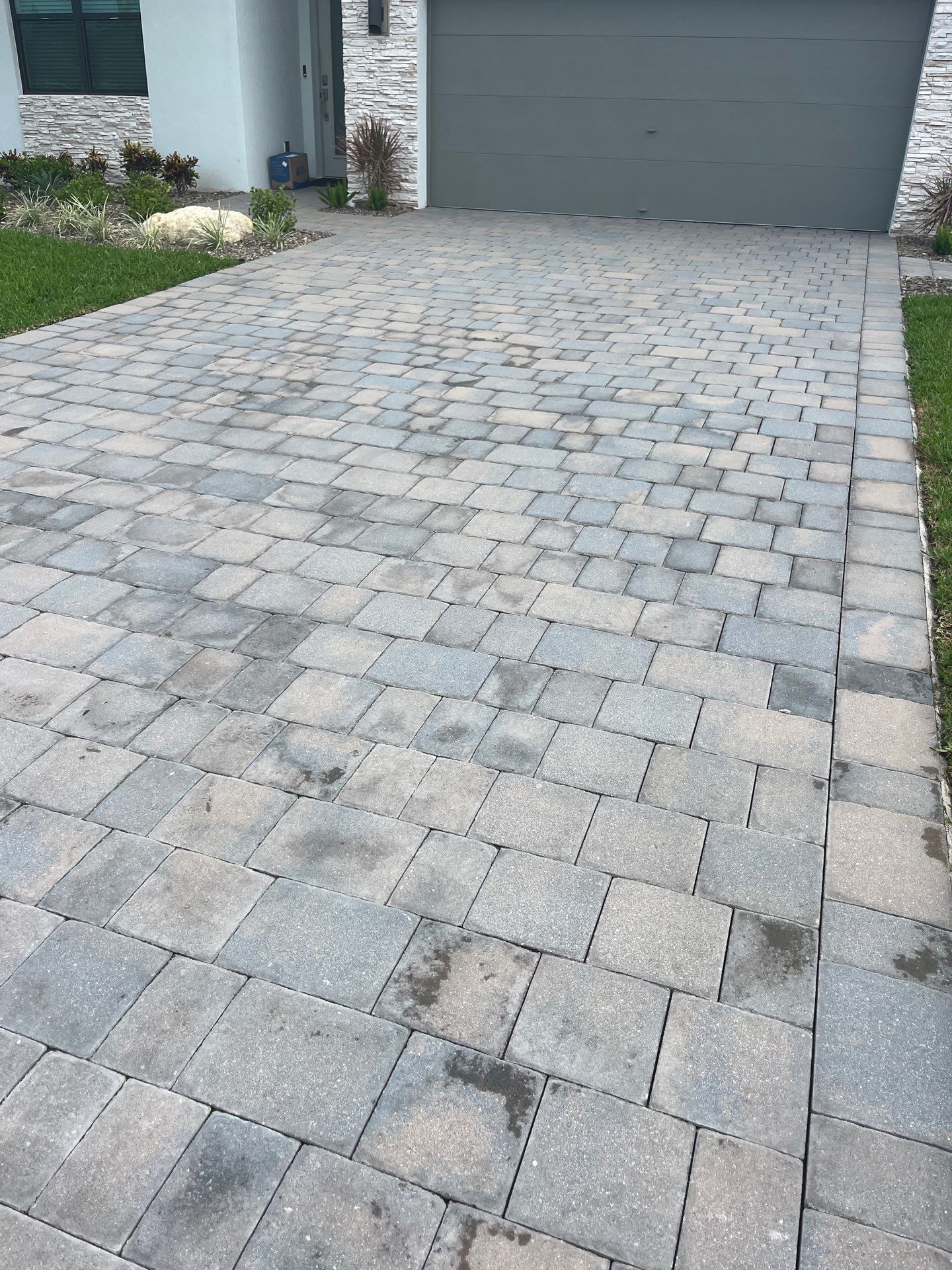 “Built Below the Surface: A Stuart Landscape Done Right” by Alpha Zeta Enterprises Inc