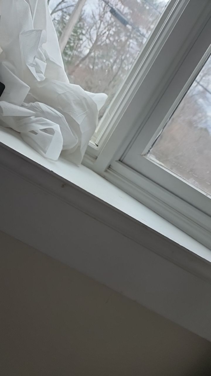 Siding and windows replaced by UBrothers Construction