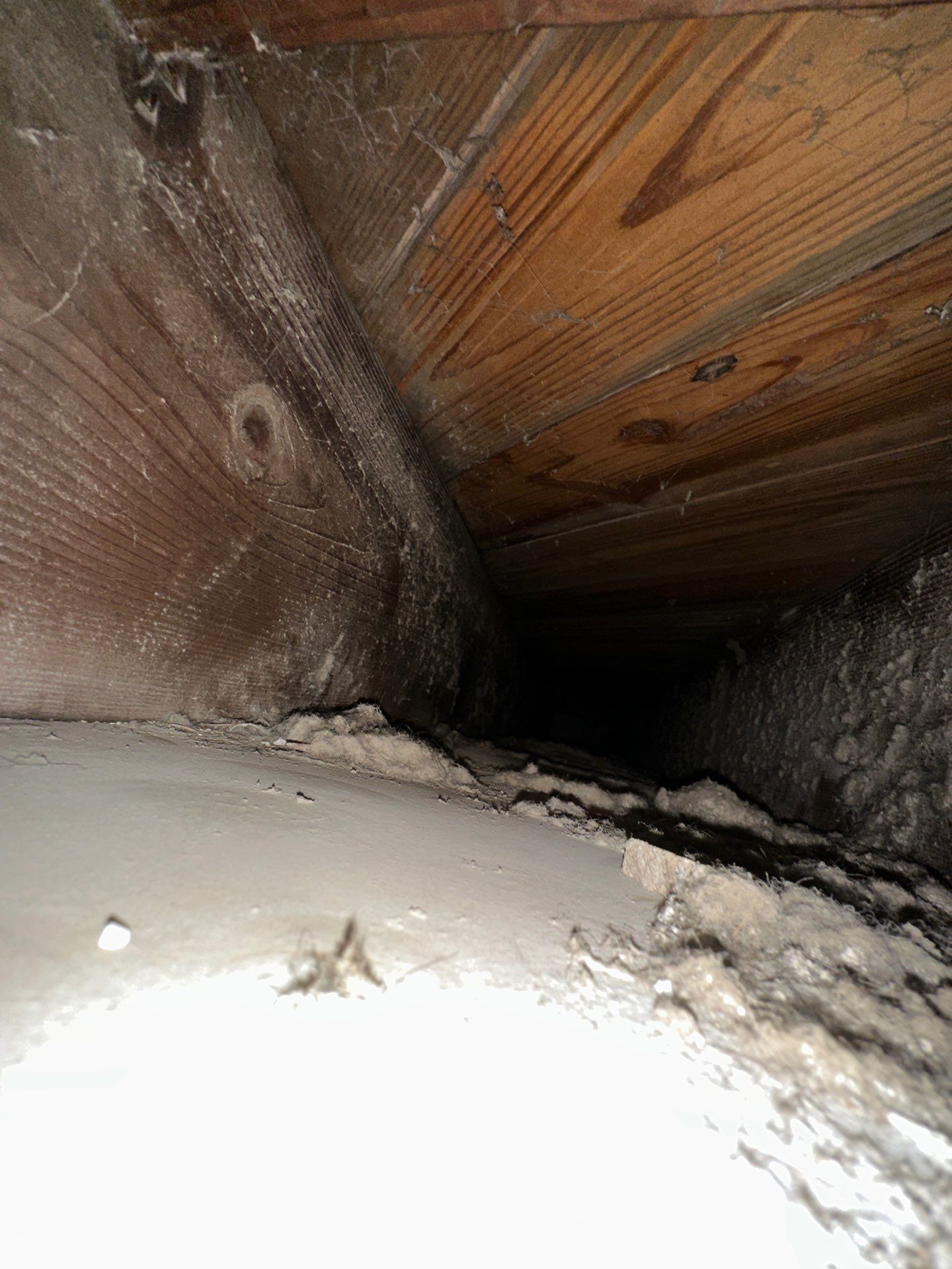 HVAC Duct Cleaning and Debris Extraction by Fox Hill Luxury Real Estate Services