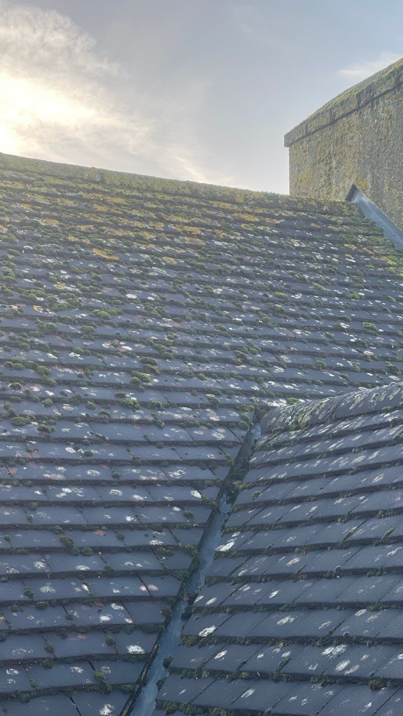 Roof Clean - Biocide Treatment using Mosmatic FSC and Biocide by Ges Exterior Cleaning ltd