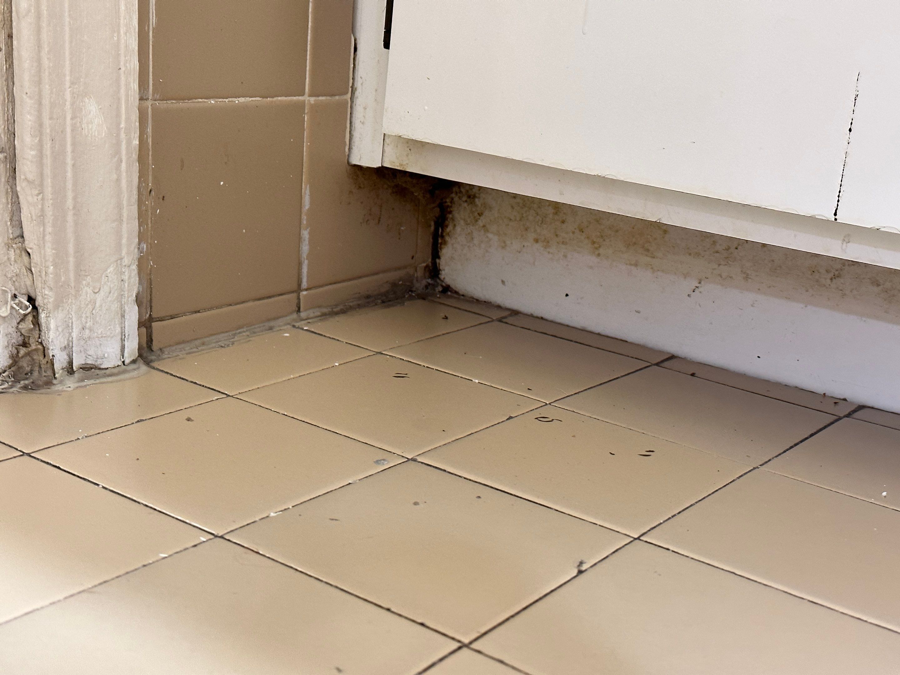Water Damage Claim in Pompano Beach by FLAPA & KeyStone