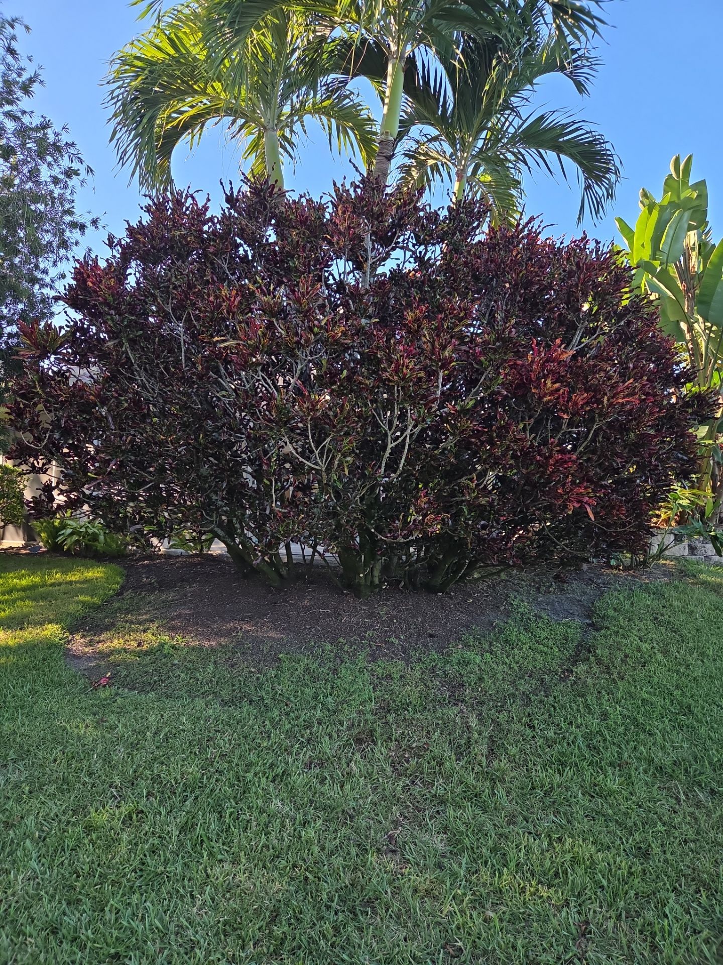 🌴 Landscape Removal and Install in Palm City by Alpha Zeta Enterprises Inc