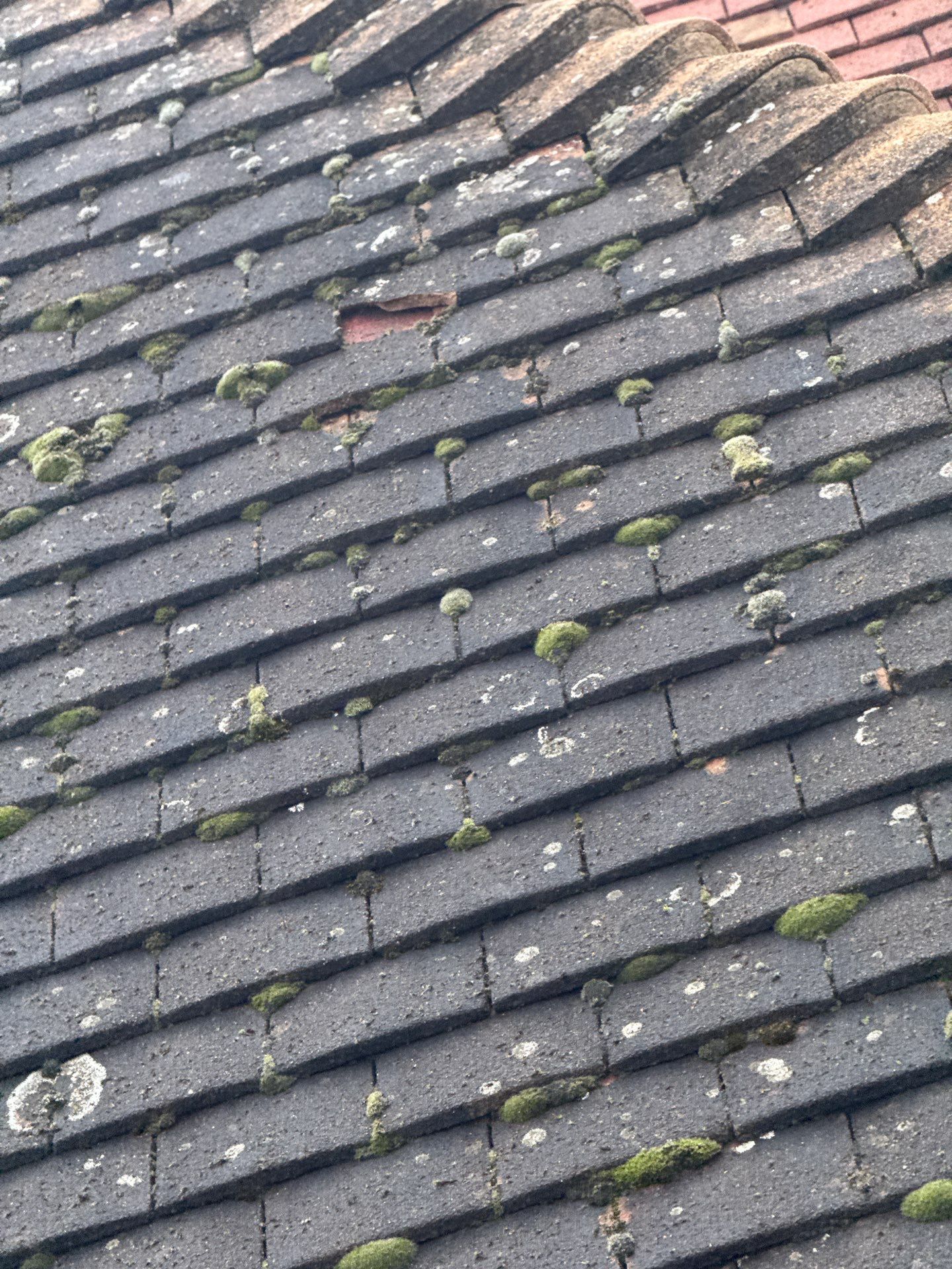 Roof Clean  - Moss Removal - Gutter Clean using Honda 15lpm Low Pressure Washing Machine by Ges Exterior Cleaning ltd