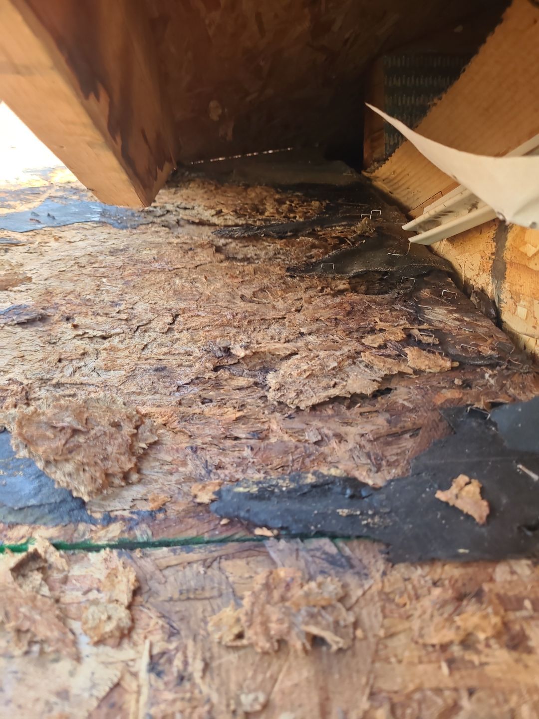 Premium Owens Corning Roof Replacement in East Berlin, PA – Lasting Quality and Local Expertise by Bealing Roofing & Exteriors