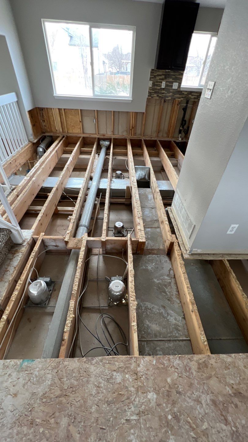 Mold Remediation by Accountable Home Services