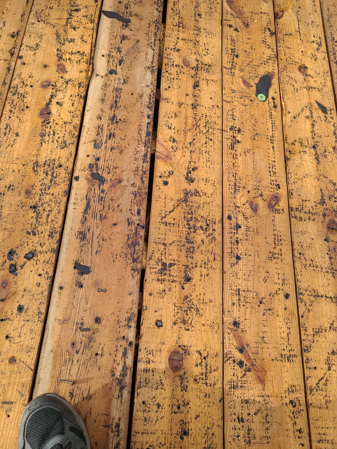 Alexandria CertainTeed Landmark Pro Roof in Max Def Charcoal Black by RM Banning, Inc.