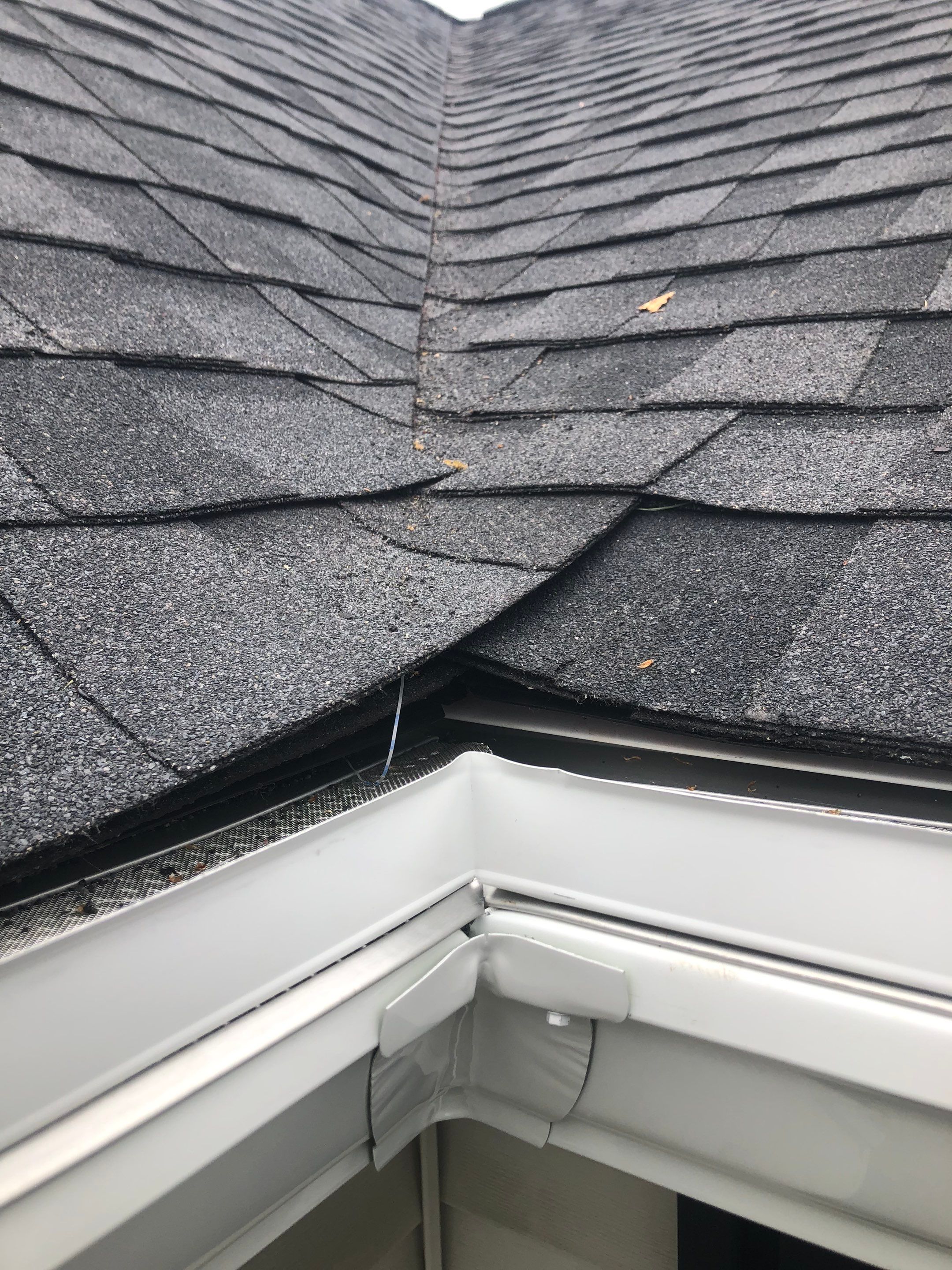 Vienna: CertainTeed Landmark Pro Designer Shingles in Max Def Moire Black by RM Banning, Inc.