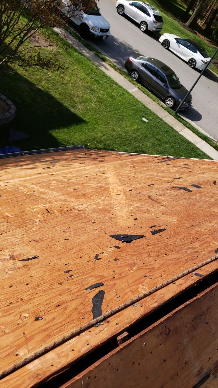 Springfield Certainteed Landmark Pro Designer Shingles by RM Banning, Inc.