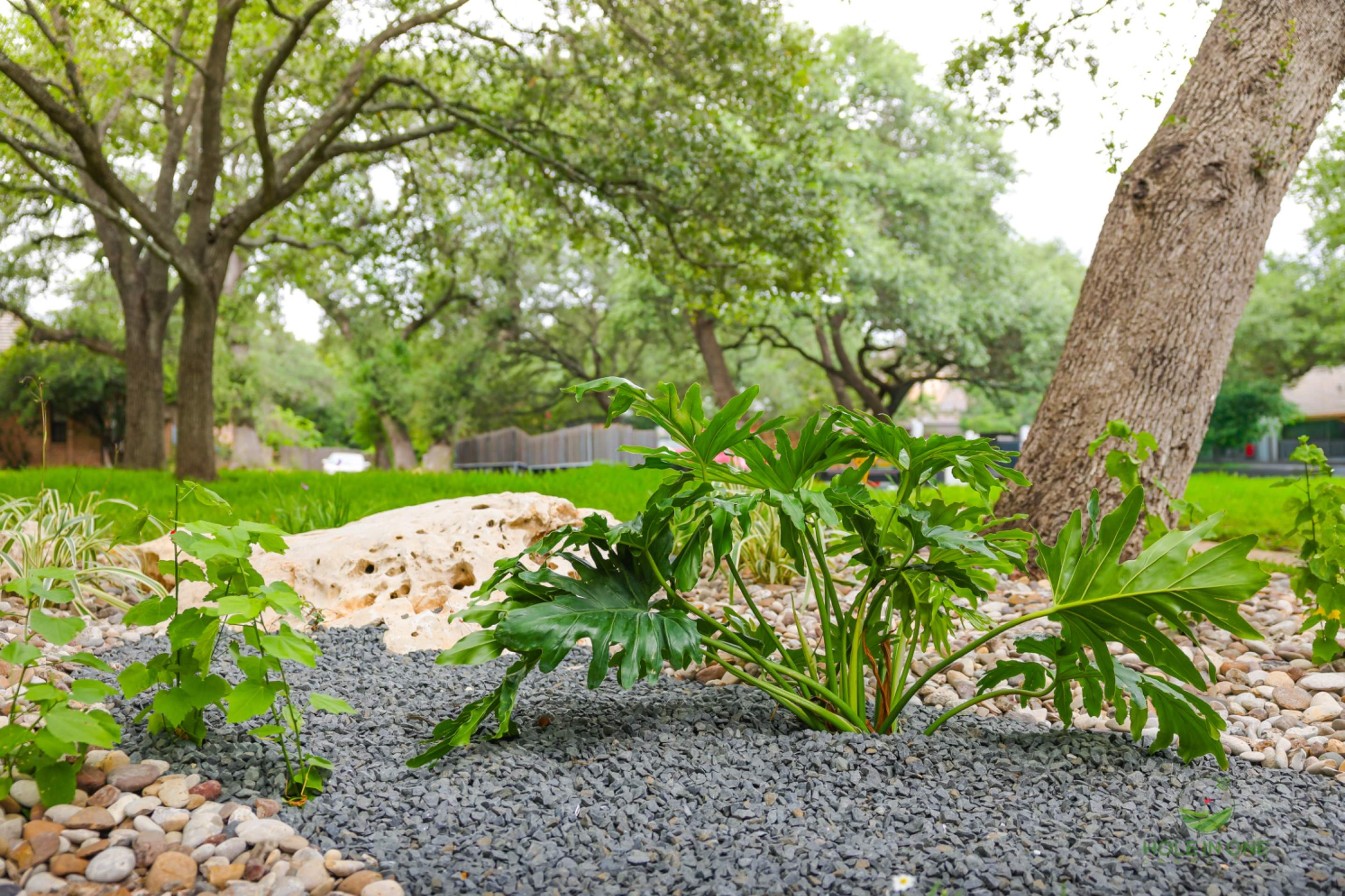 Vista Del Norte, San Antonio TX by Hole In One Lawns, LLC