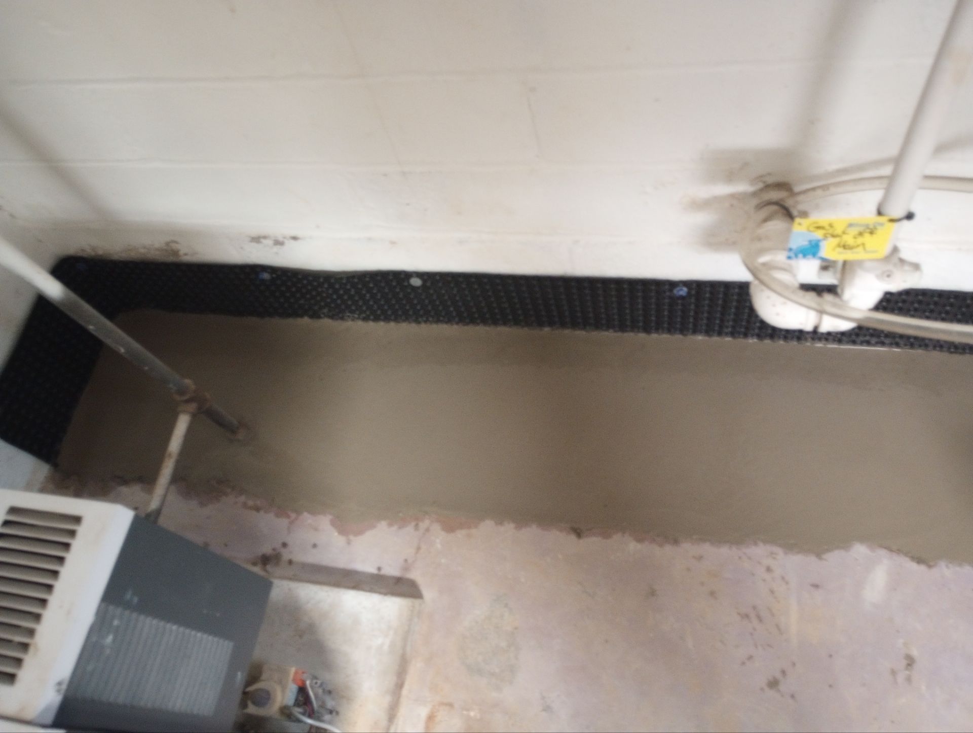 Last-Minute Waterproofing Saves Allison’s Closing by Waterproofing Northeast