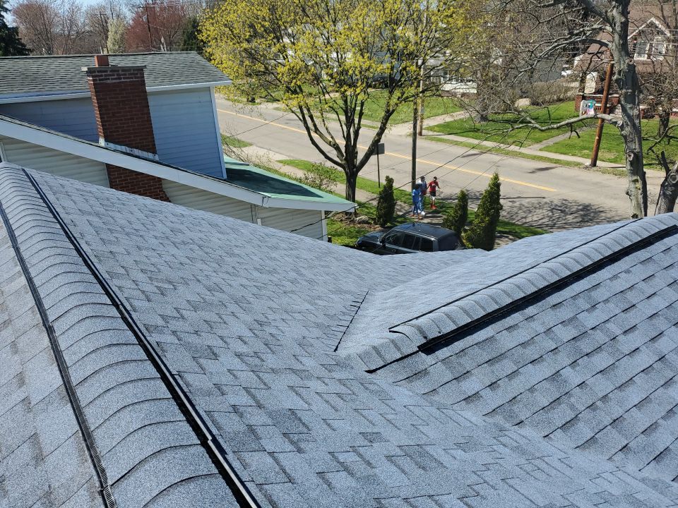 Allen Walker by Silver Leaf Contracting 