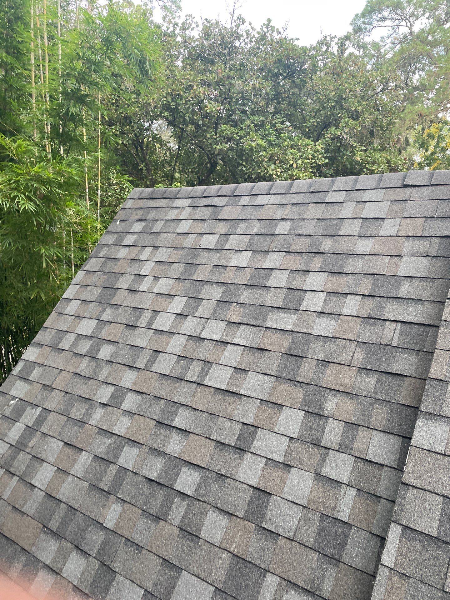 Roofing Contractors in Gainesville, FL by Brehm Roofing