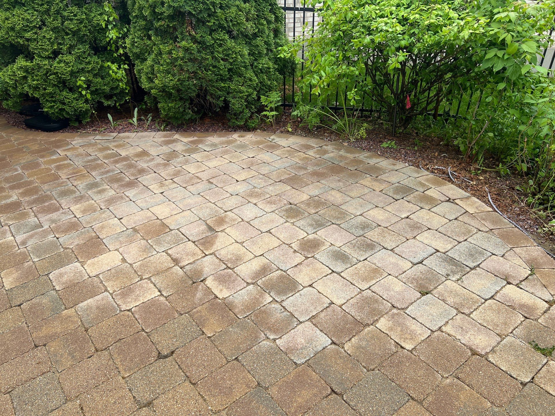 dryvit using Algaecide, soft wash soap by Northern Power Washing LLC.