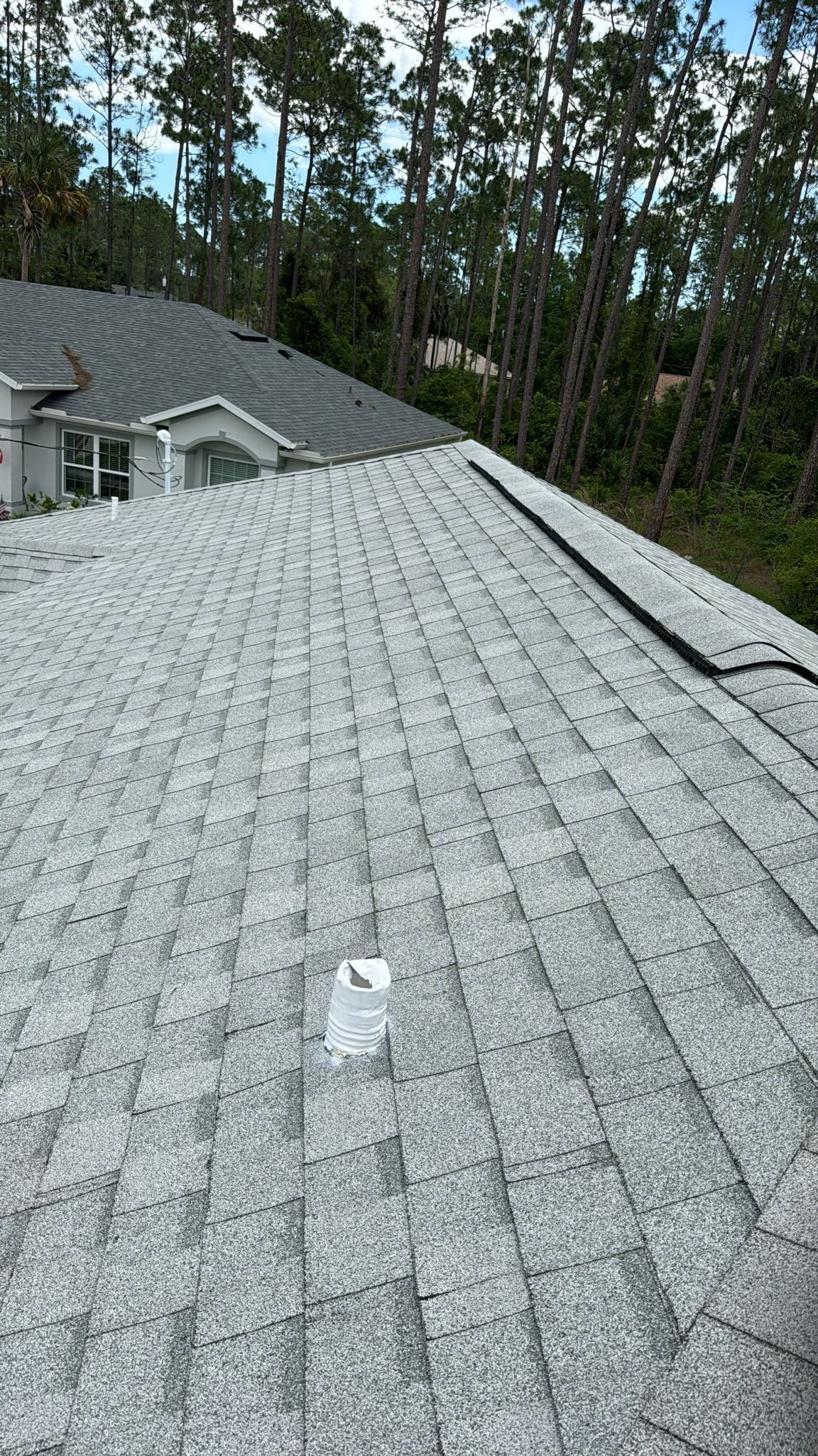 Shingle Reroof Replacement Palm Cost FL by Pinnacle Roofing Group