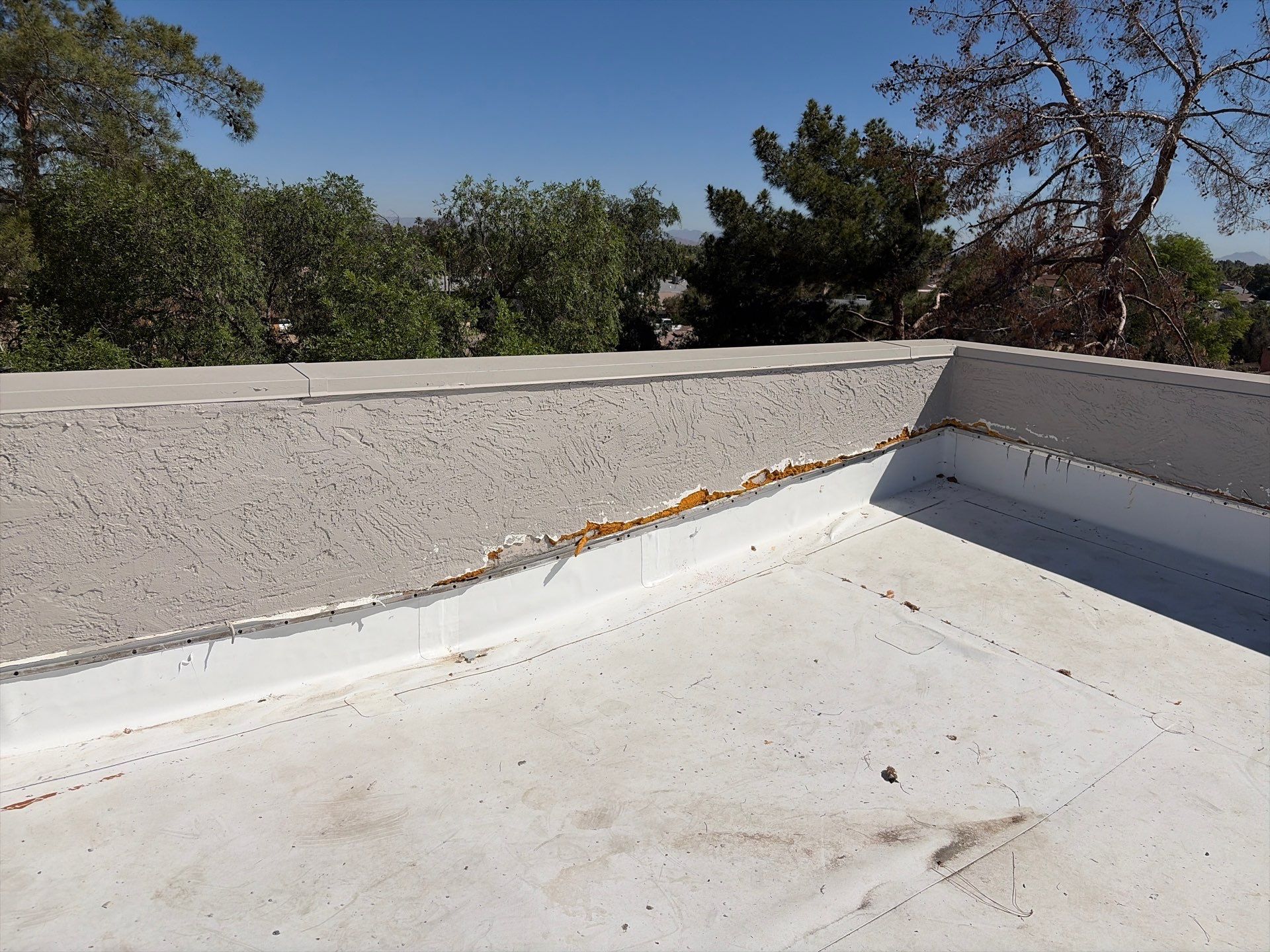 Project in Glendale by Crush Development Services LLC