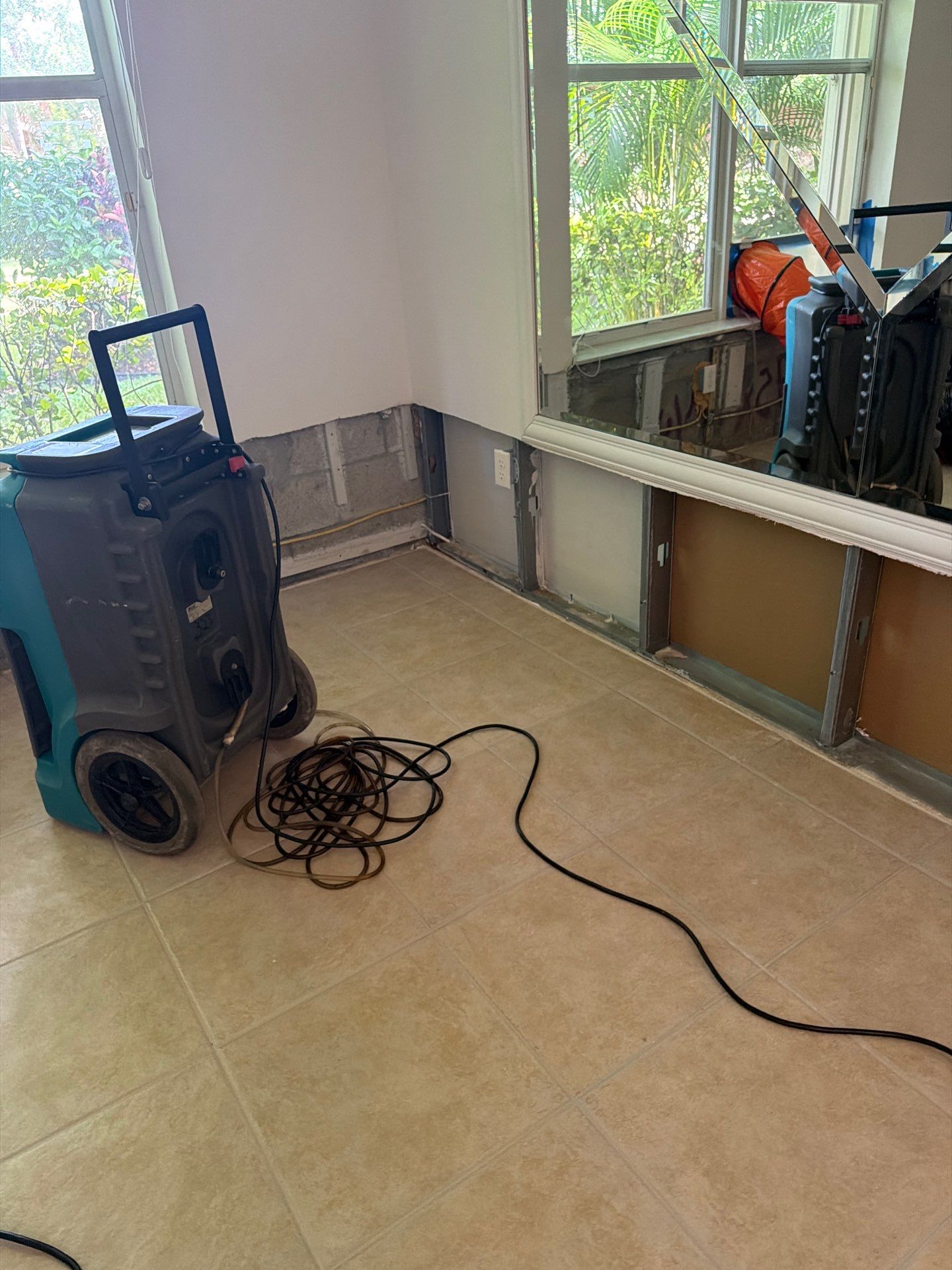 Professional Mold Remediation and Structural Drying in Wellington by SuperClean 