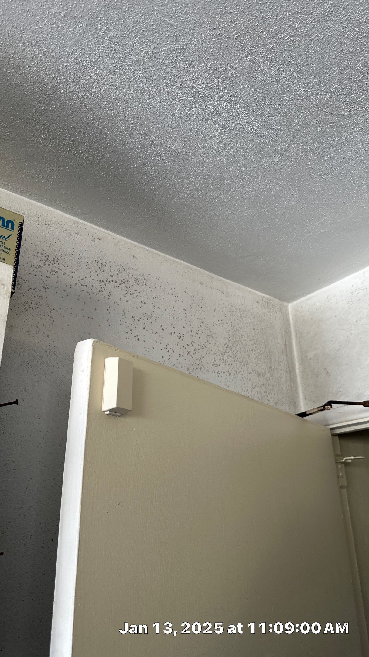 Mold Assessment using IR Camera, Moisture Meter, Air Cassette samples and Tape lifts by Building performance Solutions LLC