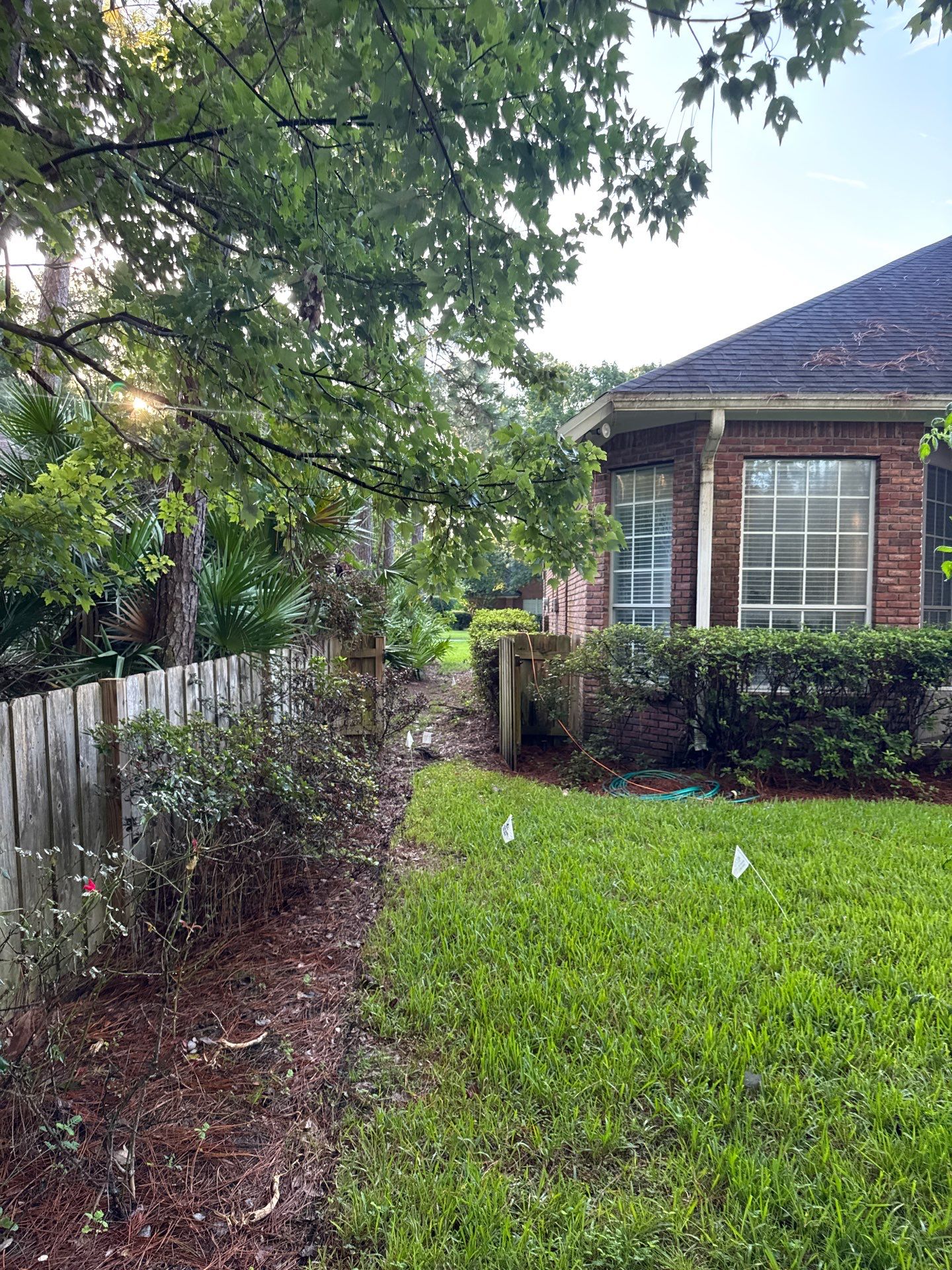 Residential | Shrub Trimming by ProGreen Services
