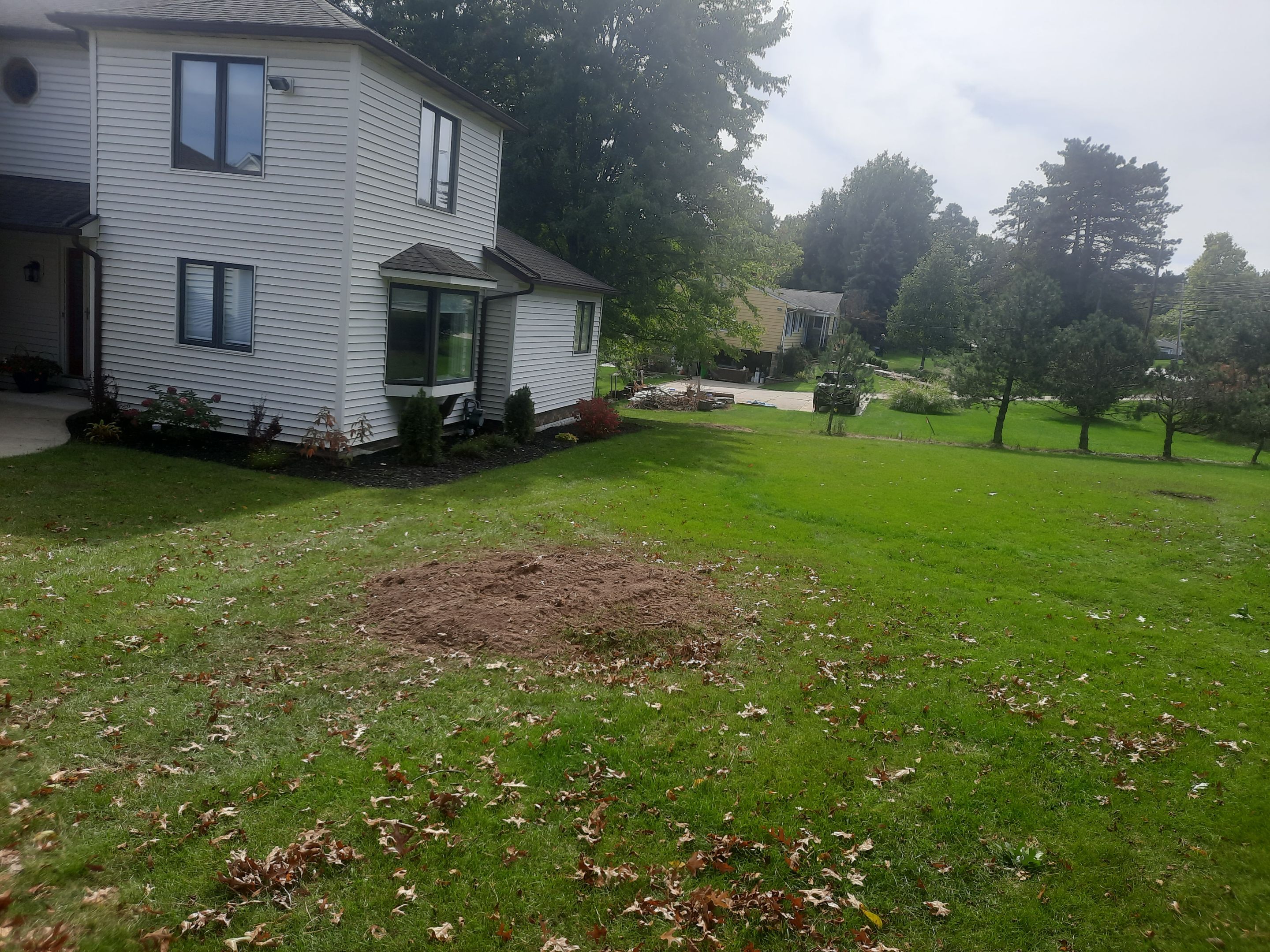 Tree Trimming using Tree Pruing by Mike Jones & Sons Tree Service LLC 