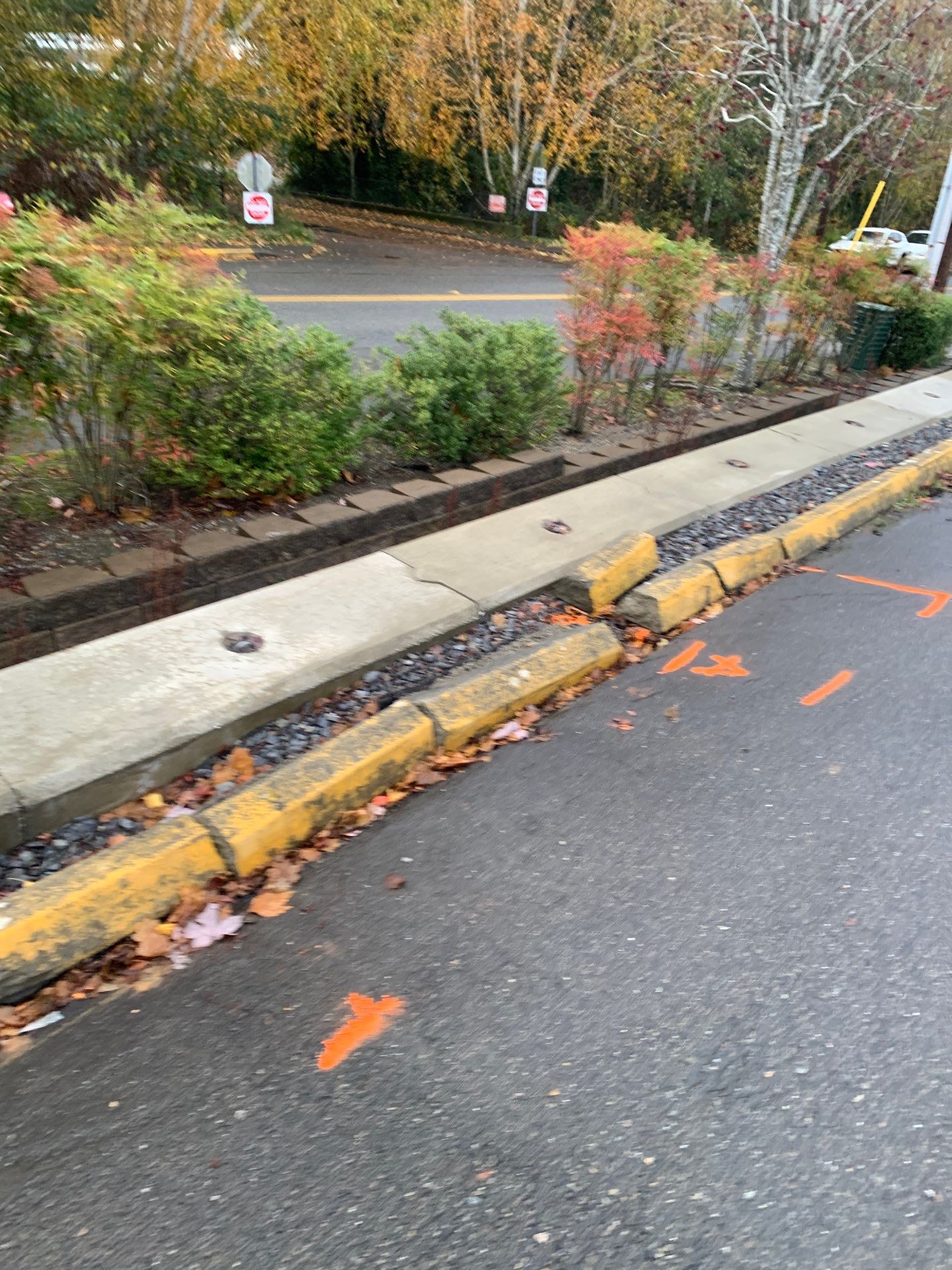 Striping, Asphalt Patch Repair & Concrete Curbing | Edmonds  by Jireh Asphalt & Concrete Inc 