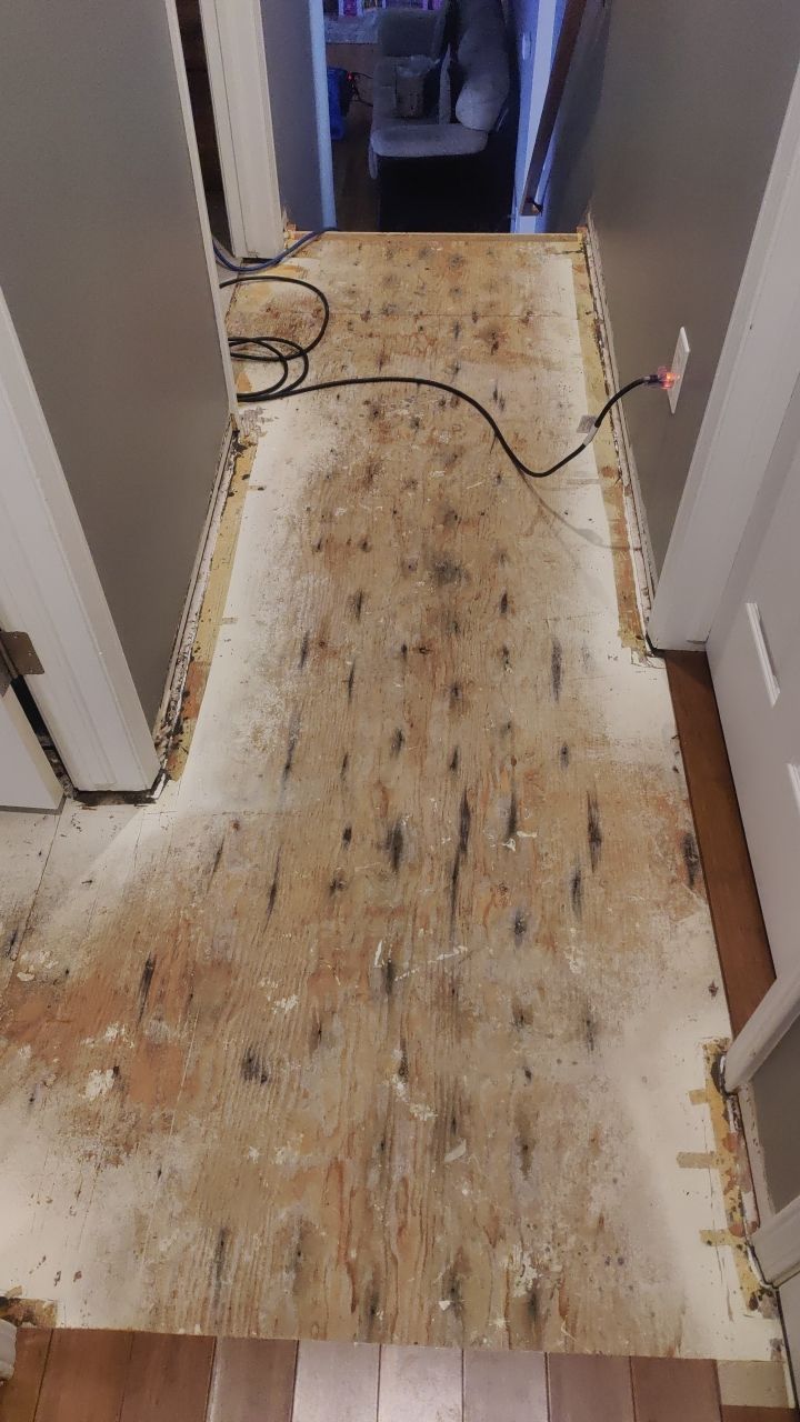 Water Damage  by Accountable Home Services