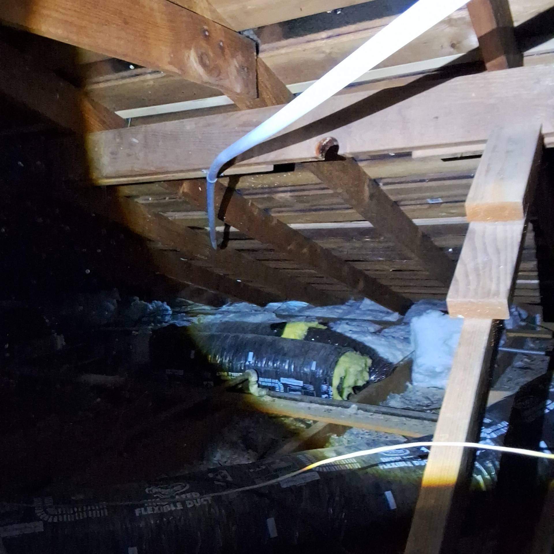 Whole Home Repipe  by P&M Plumbing Inc.