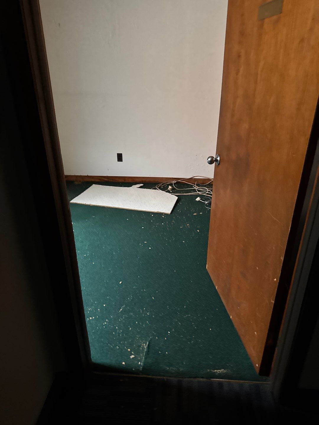 Project in Royal Oak by EzDry Water Mitigation & Property Restoration