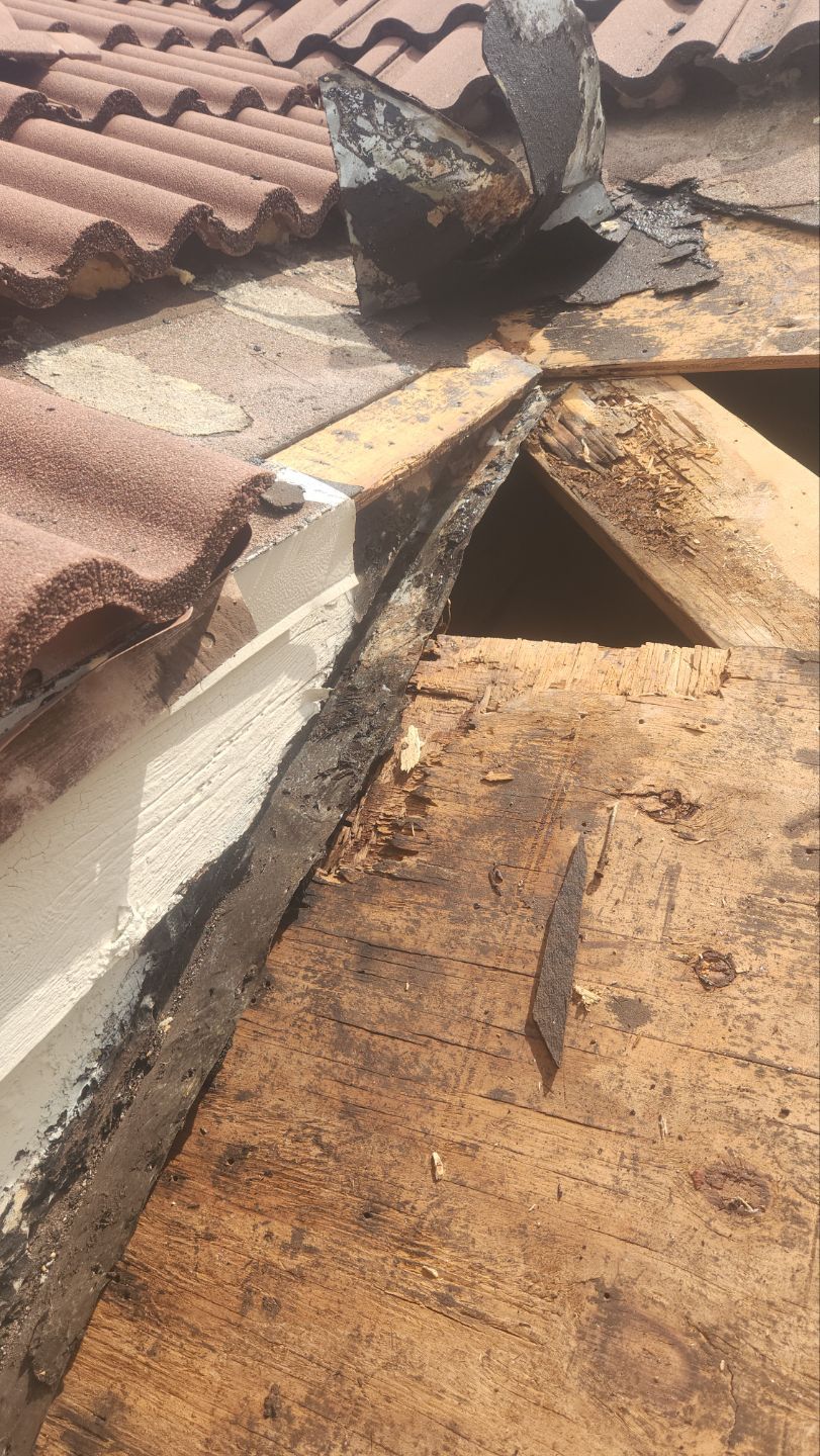 Clay Tile Roof Leak Repair and Sheathing Replacement in Hollywood by Aastro Roofing