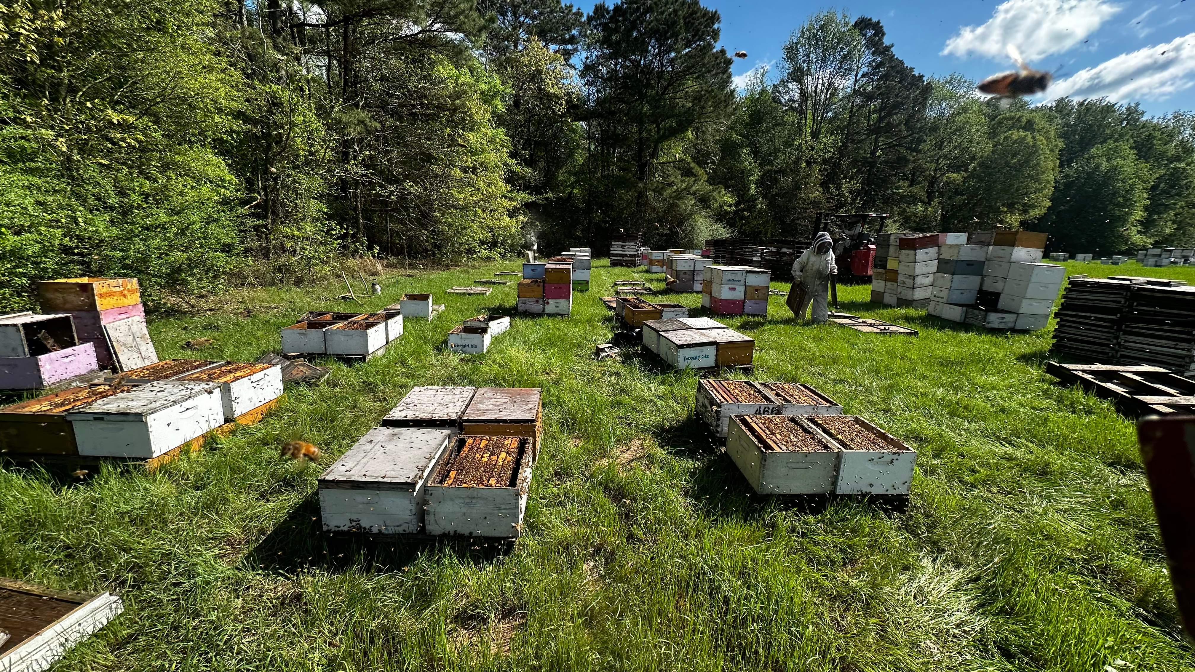 Traylor's Hay Meadow Apiary by Rockwall Honey Bee Company