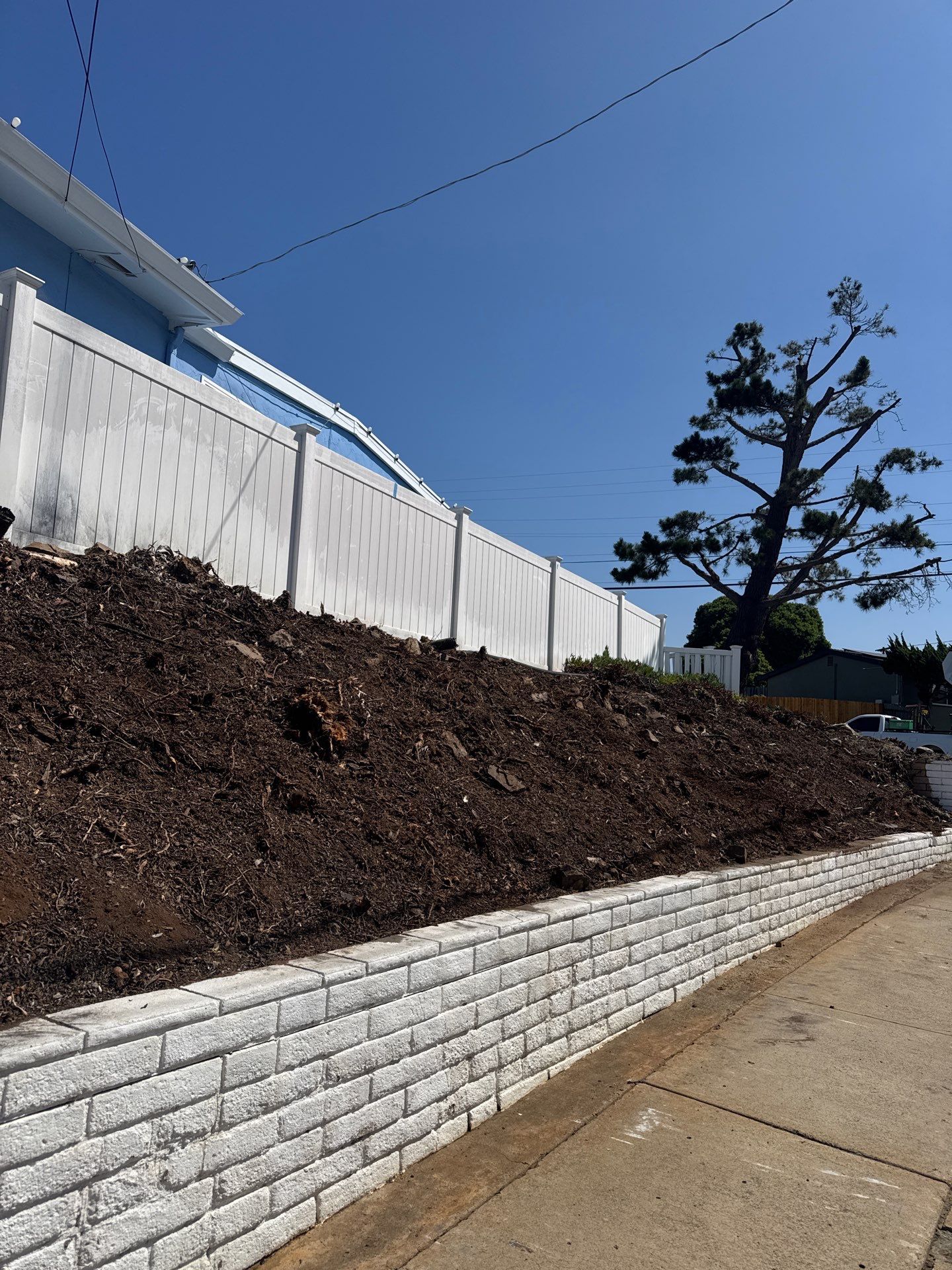 Professional Landscape Clean Up and Debris Removal in San Diego by Yard Techs