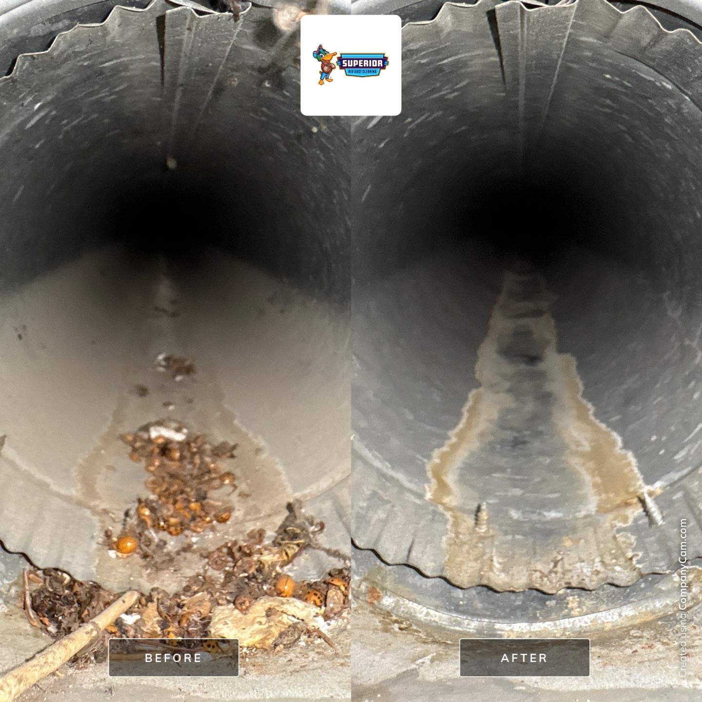 Air duct cleaning and dryer vent cleaning in Boardman OH by Superior Air Duct Cleaning