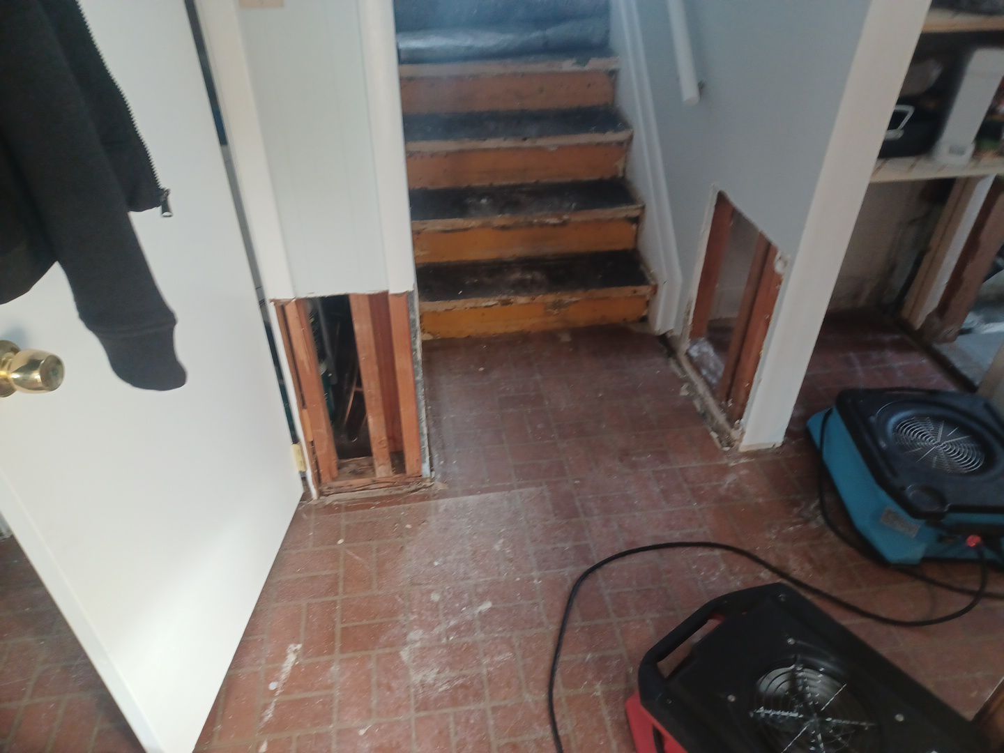 Project in Royal Oak by EzDry Water Mitigation & Property Restoration