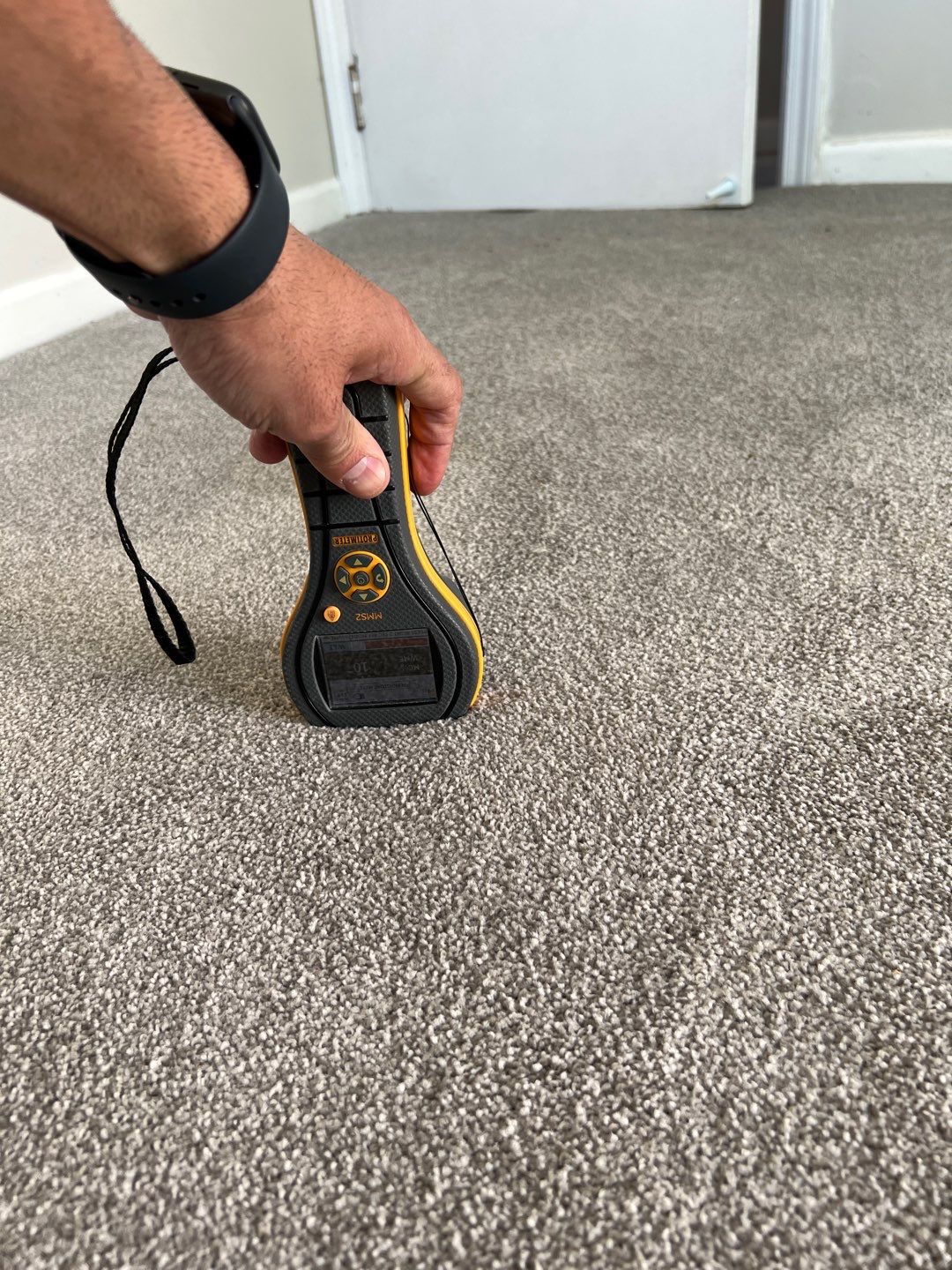 Project in Novi by EzDry Water Mitigation & Property Restoration