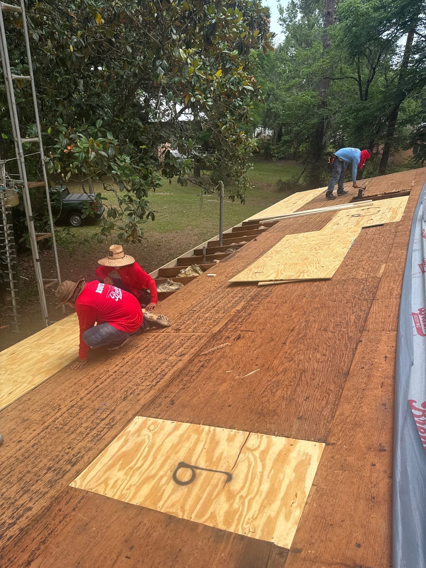 Roofing Company in Anthony, FL  by Brehm Roofing