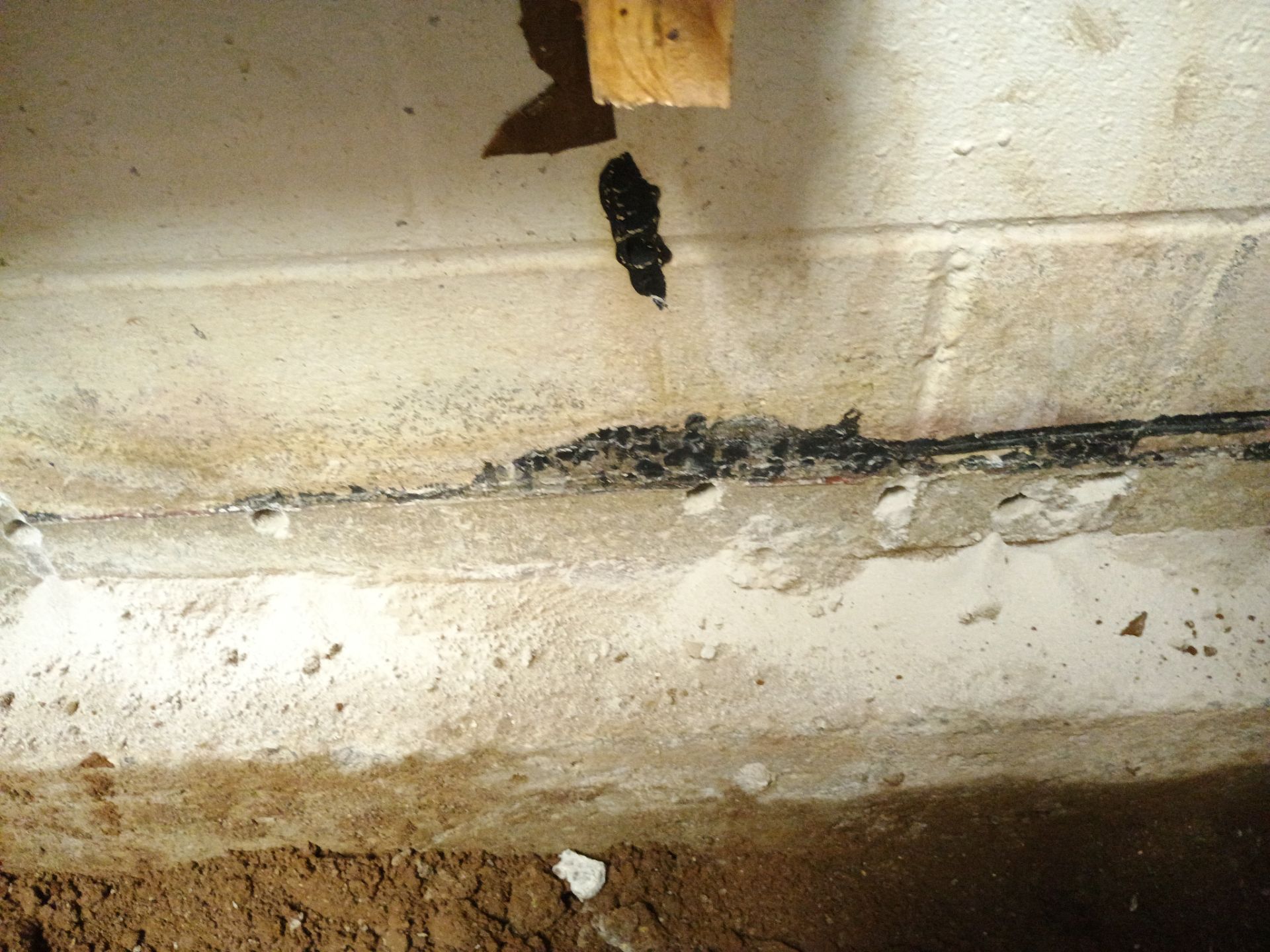 Helping Our Neighbor Gail by Waterproofing Northeast