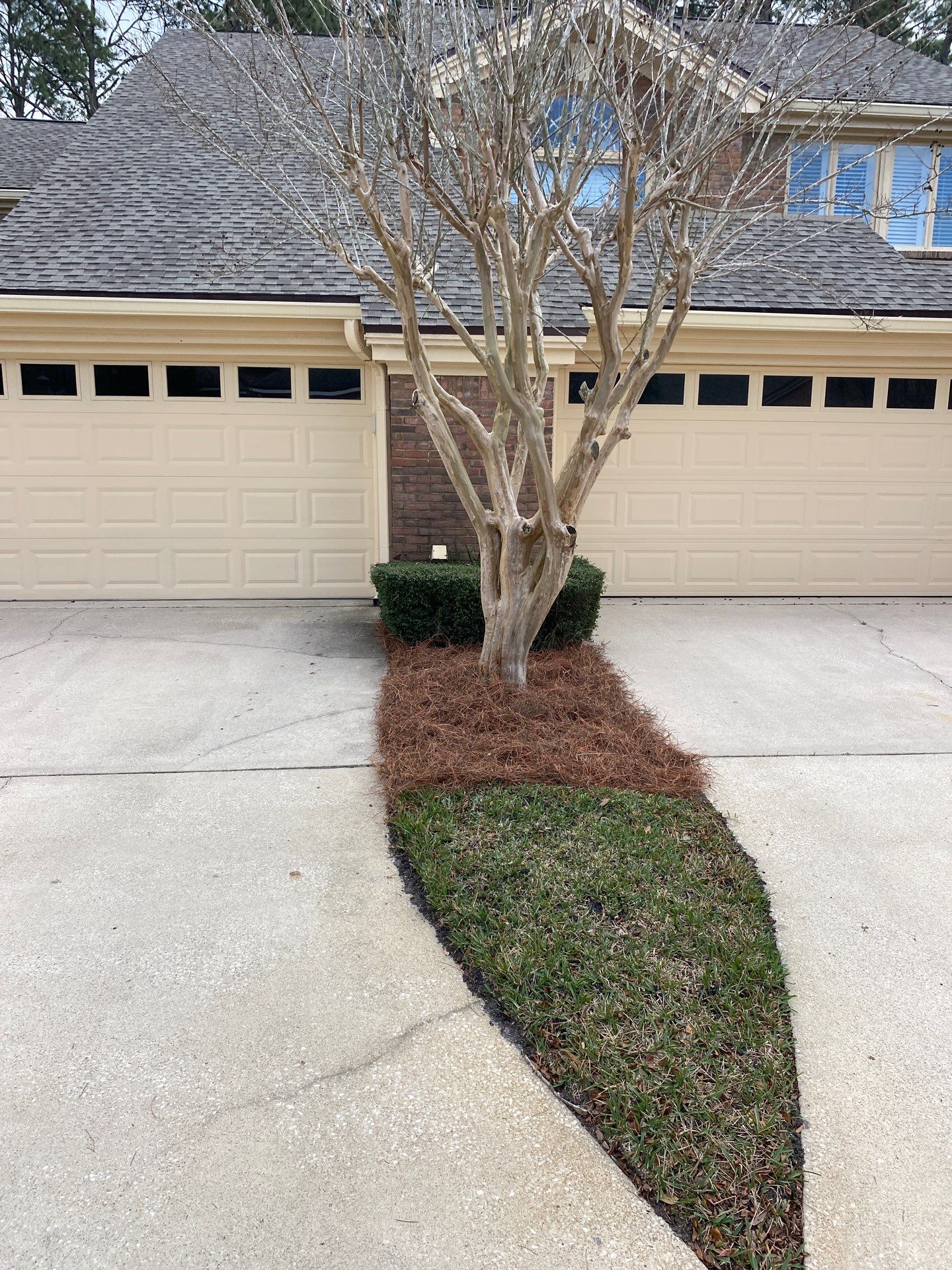 Deerwood Pointe | Tree Removal & Pine Straw Installation by ProGreen Services