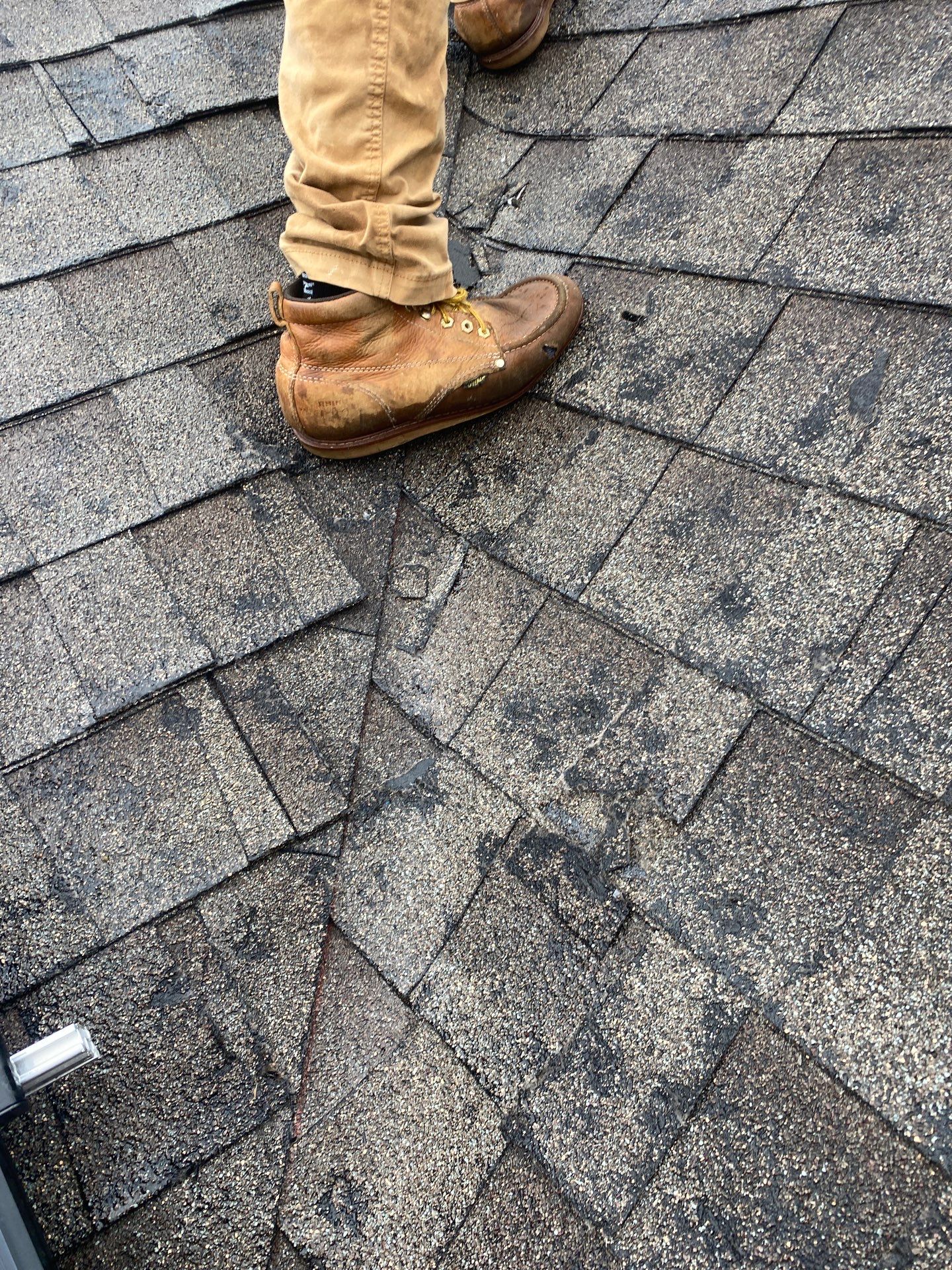 Hail Damage using Owen's Corning Duration (Lifetime) Shingles by Roof Repair Services LLC