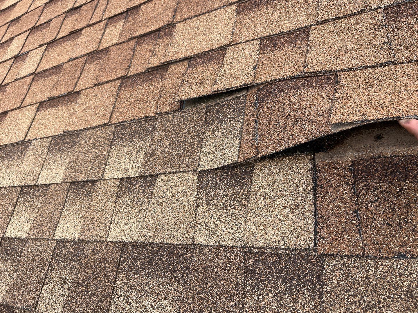 Jenna's Re-Roof and Ridge Vents by All Storm Roofing & Construction