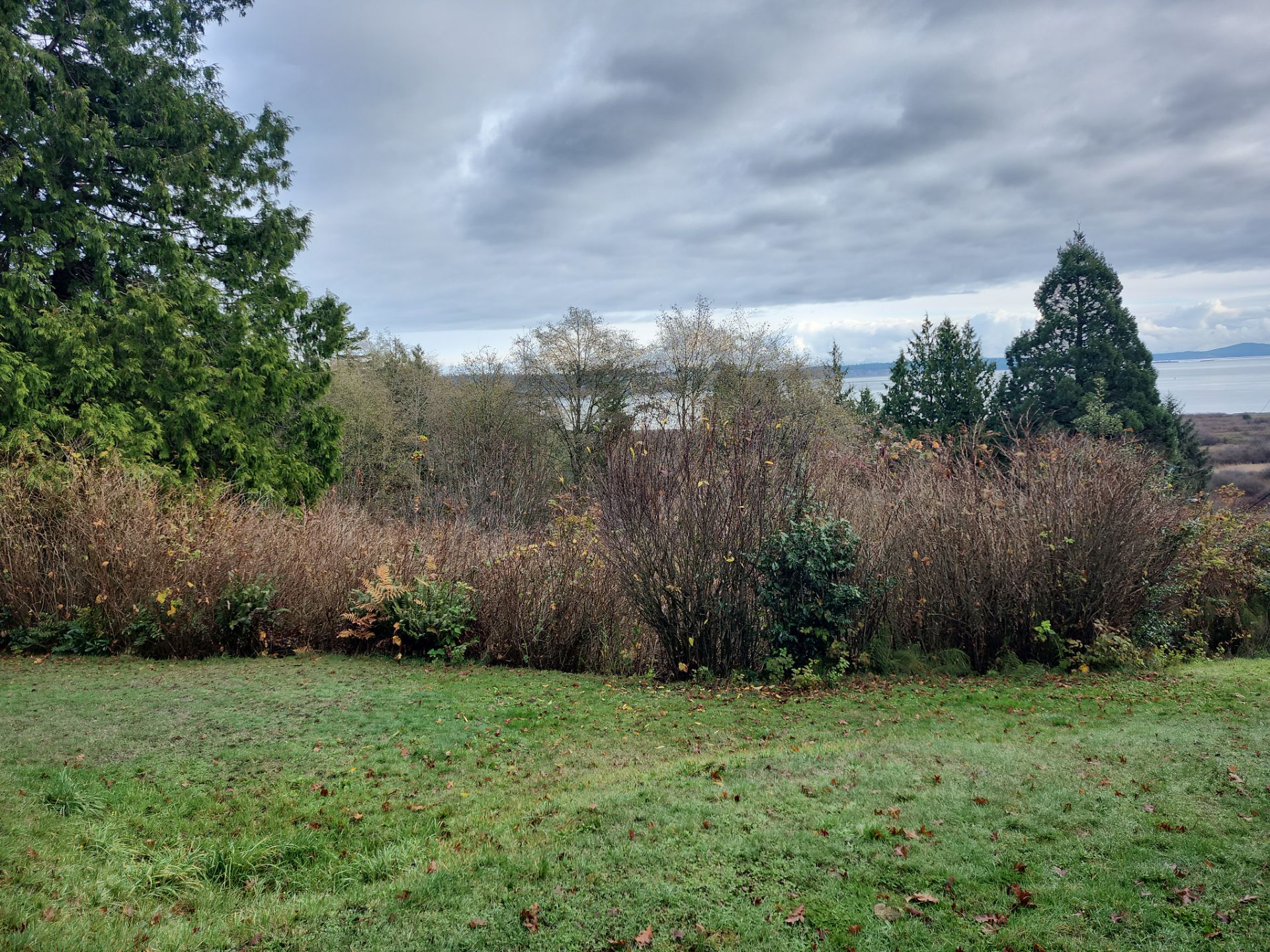 Island View - Ecological Restoration & Stewardship by Habanero Landscape Solutions