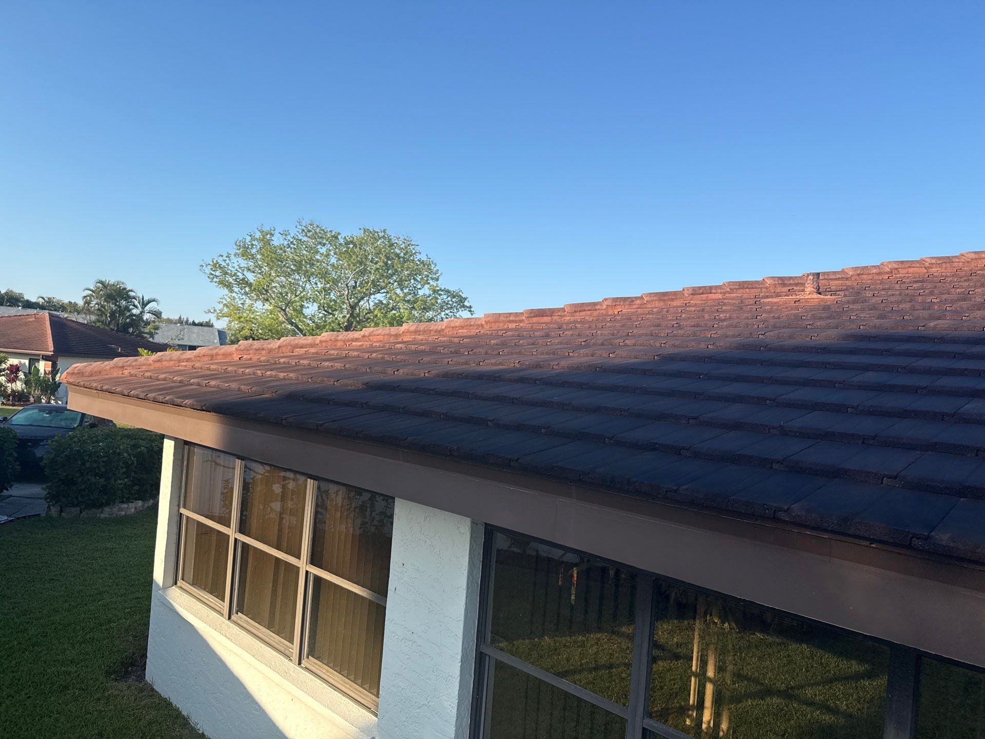 Tile Roof Cleaning – Vivenda at Bradenton I (5-Star Review & Plant Protection) by Sunshine AquaWash