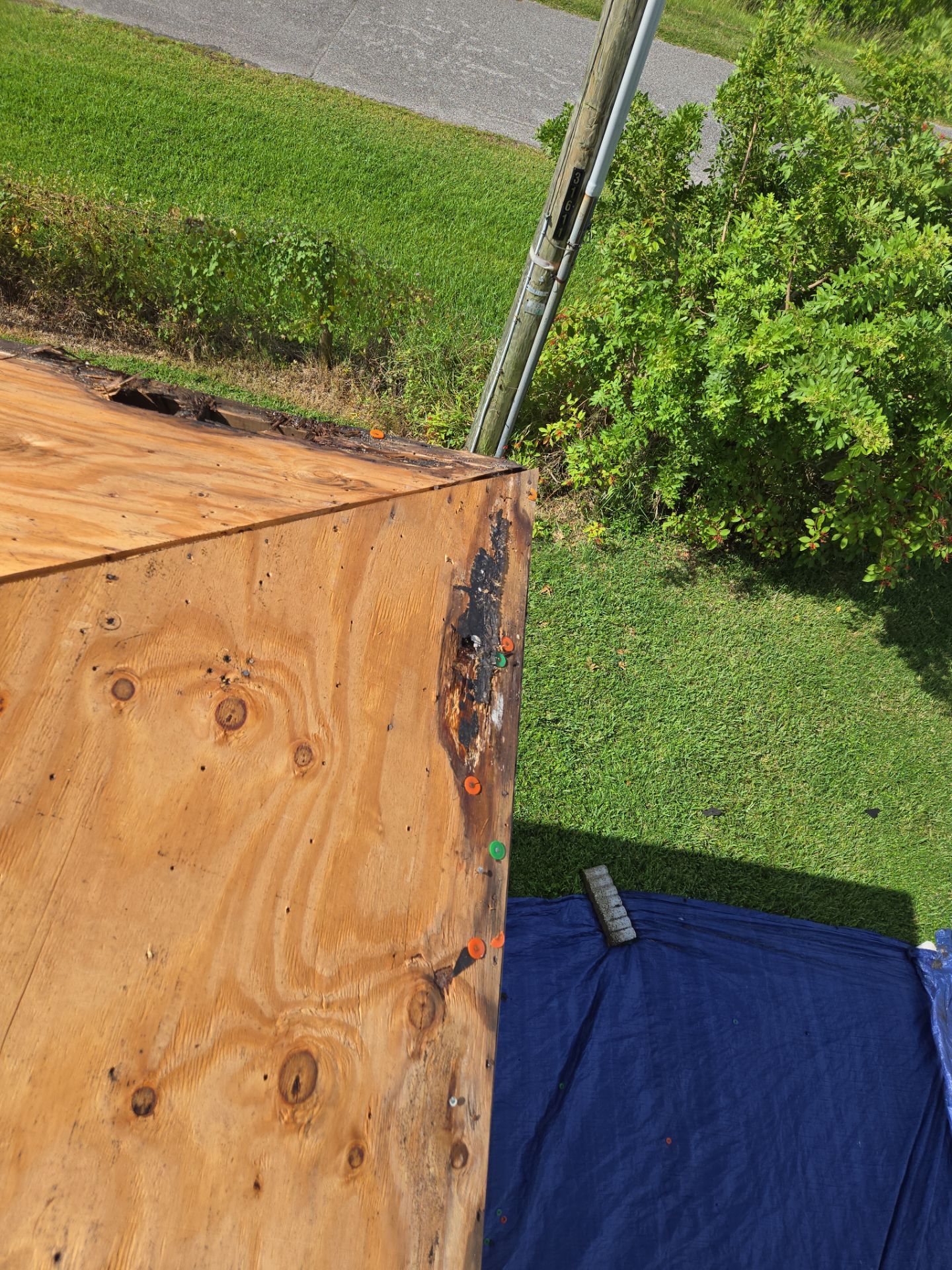 Project in Oldsmar 34677 by Mitchell Roofing Company LLC 