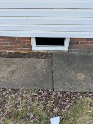windows in canton