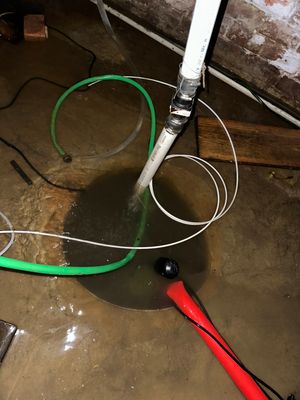 Project by BlueRed Restoration