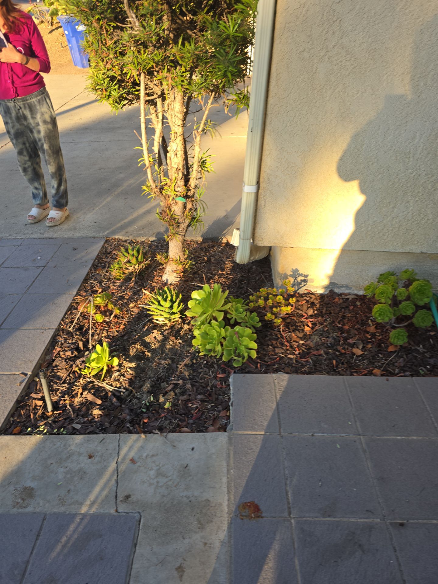  Outdoor Water Faucet and Water Piping Inspection by Us Plumbing 
