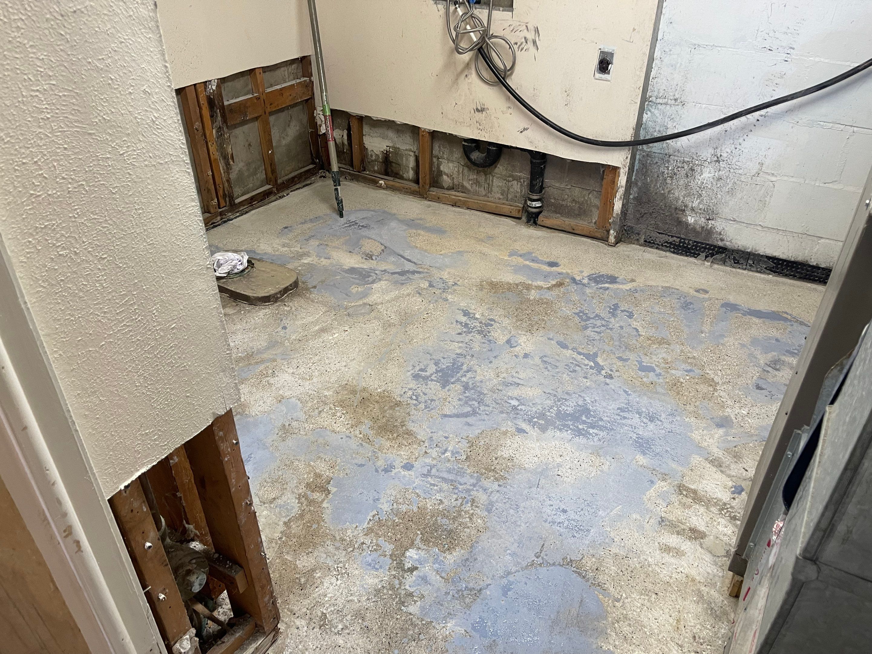 Basement using Mount Everest by Select Painting, Coatings & Garage Cabinets