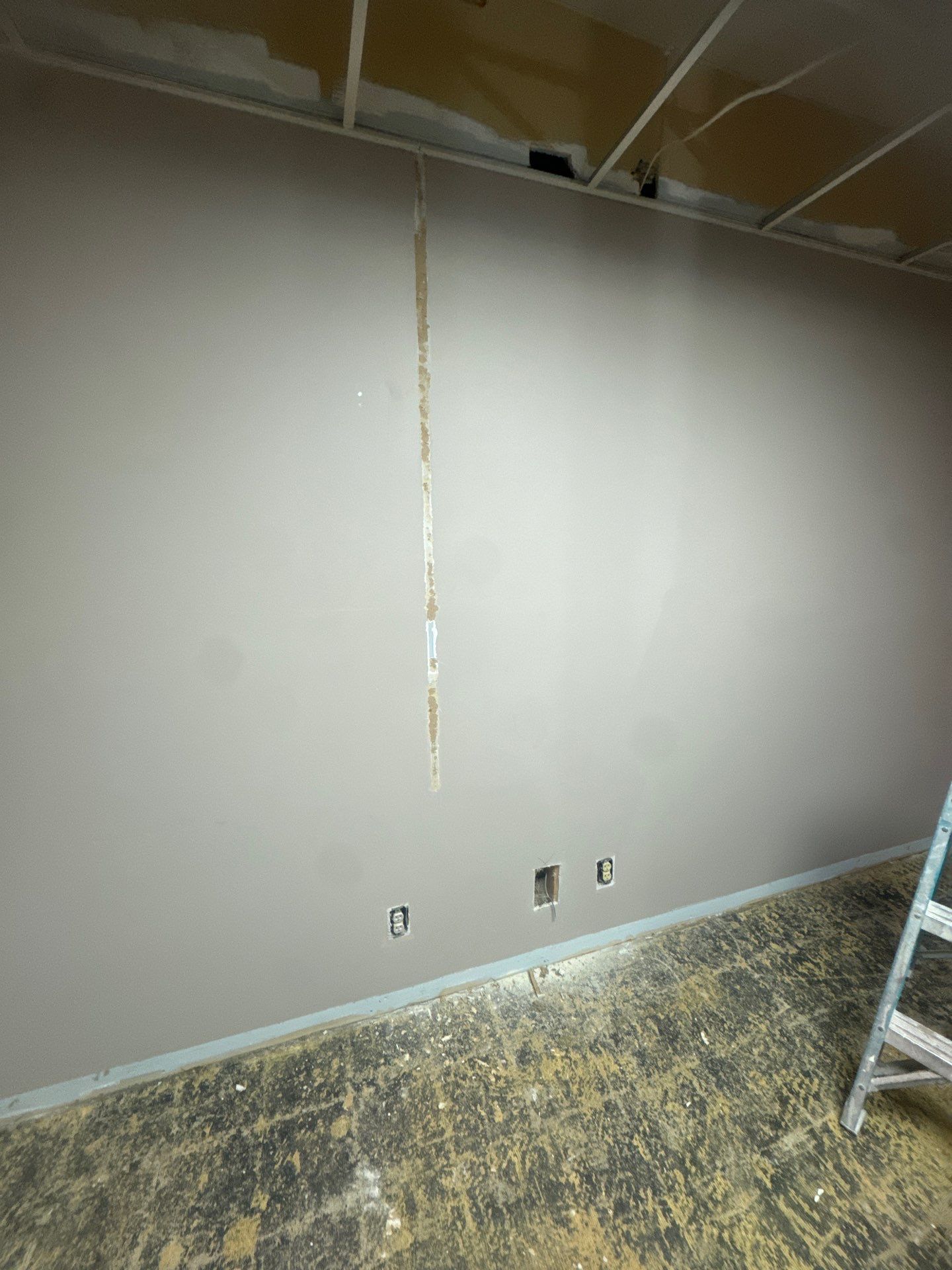 Interior Office Remodel in Casnovia Michigan! by Gordon Painting